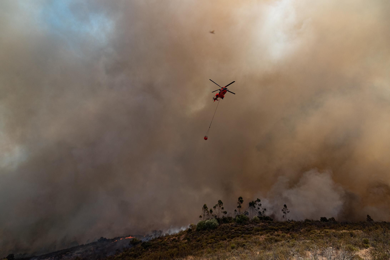 Imágenes del incendio de Almonaster a su paso por Zalamea