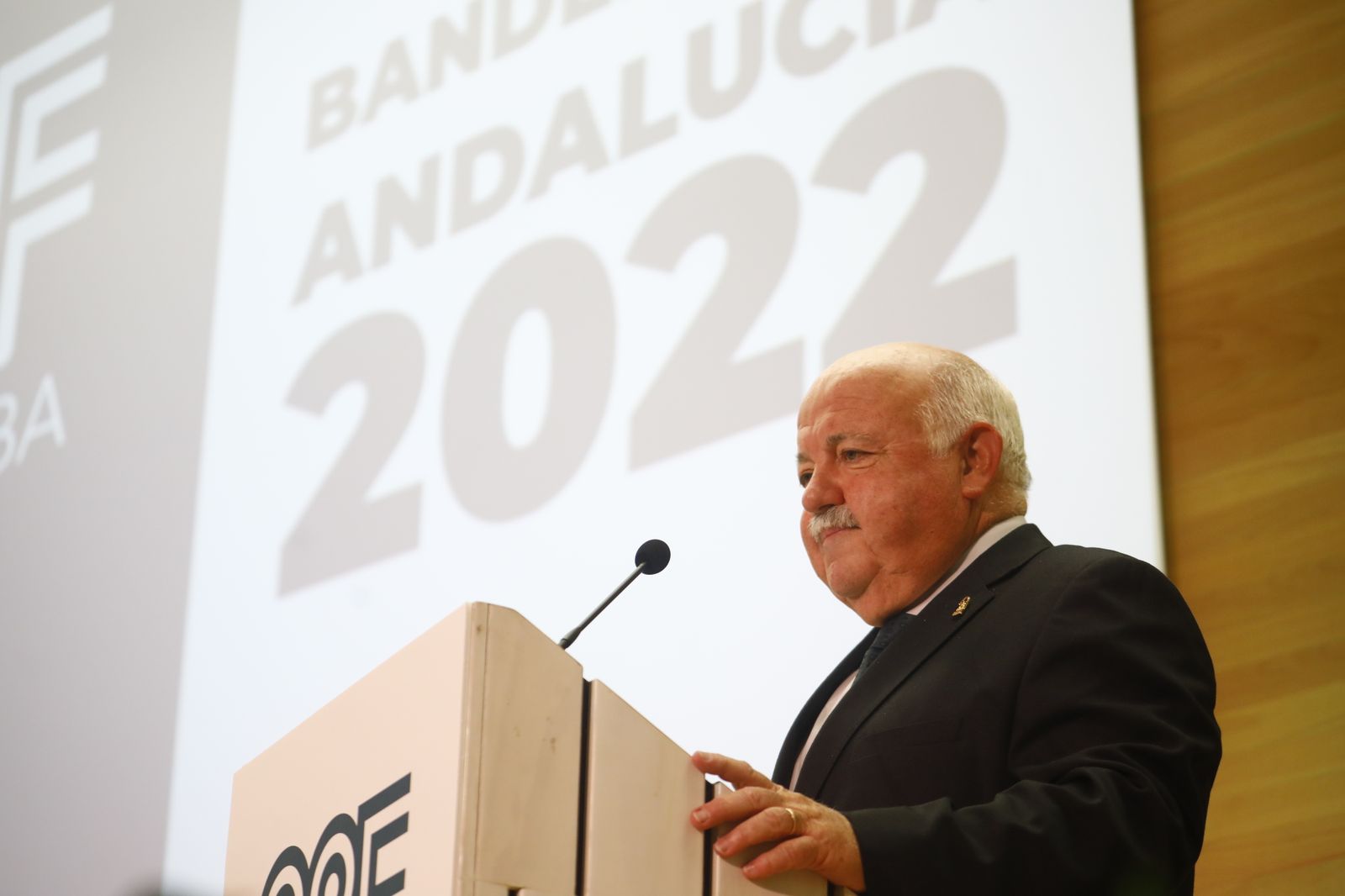 La entrega de las Banderas de Andalucía en Córdoba por el 28F, en imágenes