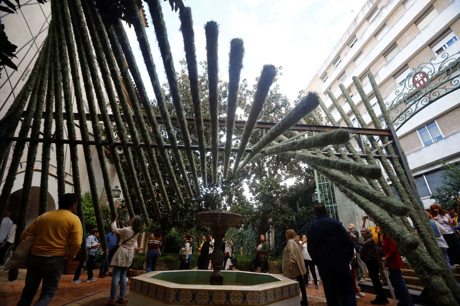 Arranca Flora 2023: estas son las mejores imágenes