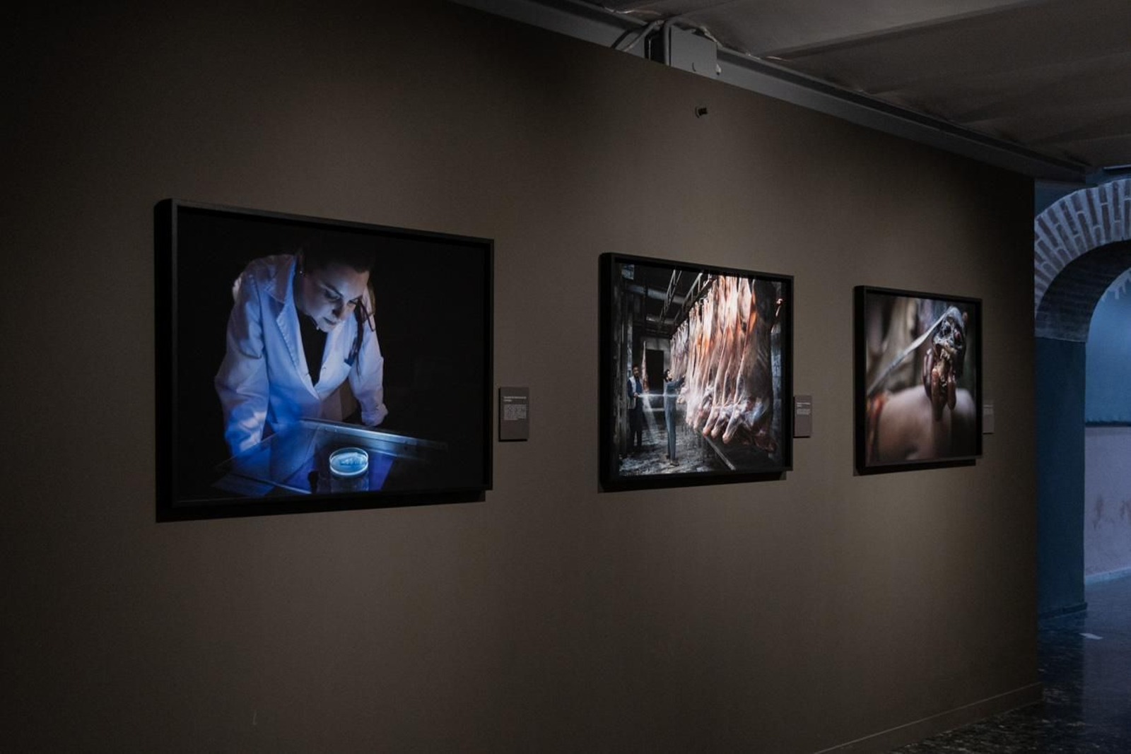 One Health en imágenes: la fotogalería de Katy Gómez que te hará reflexionar sobre la salud global