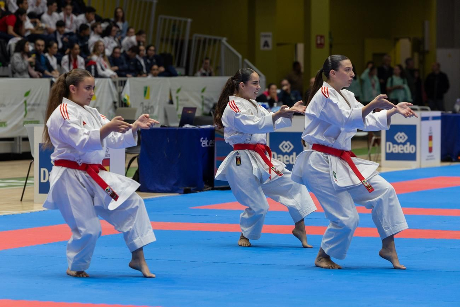 Campeonato de España de Kárate cadete, júnior y sub 21 brilla en Jaén
