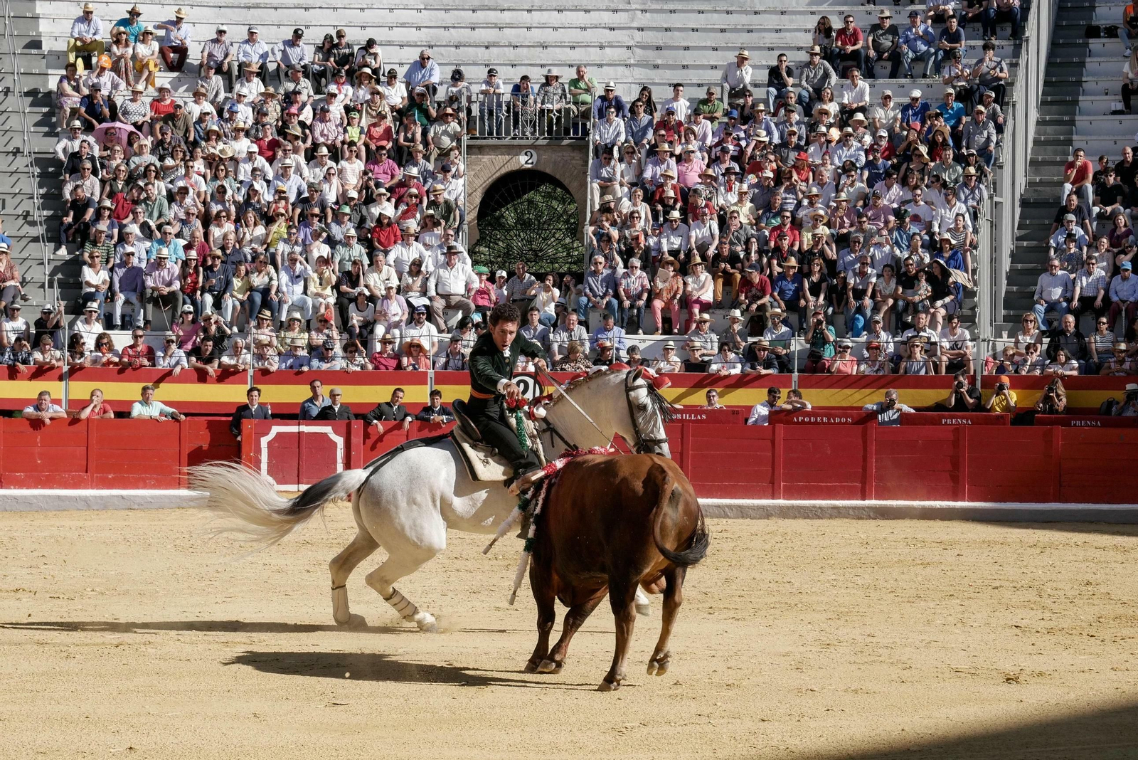 Festival taurino a beneficio de Down Granada