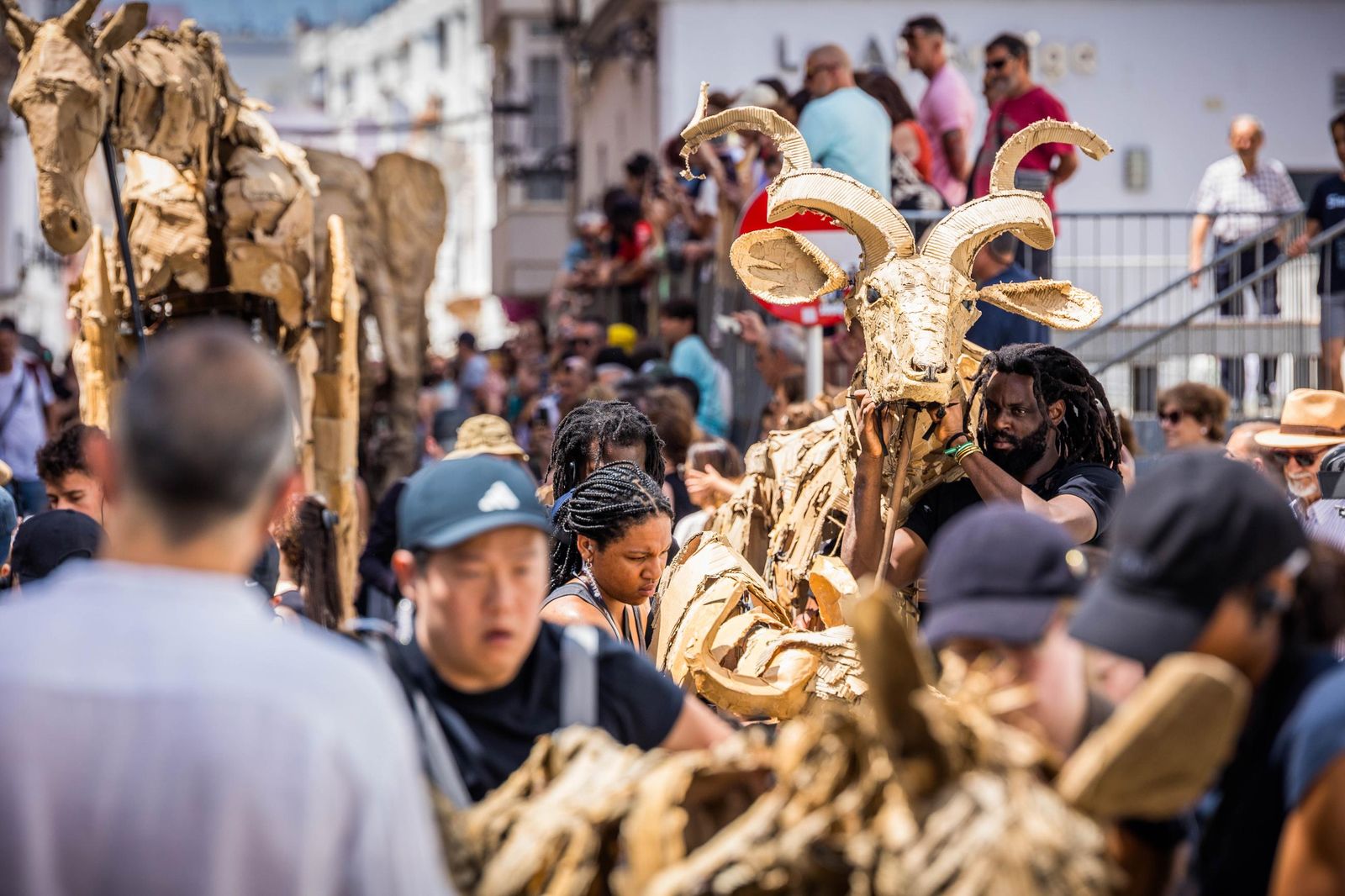 Las imágenes de 'La estampida' en San Fernando