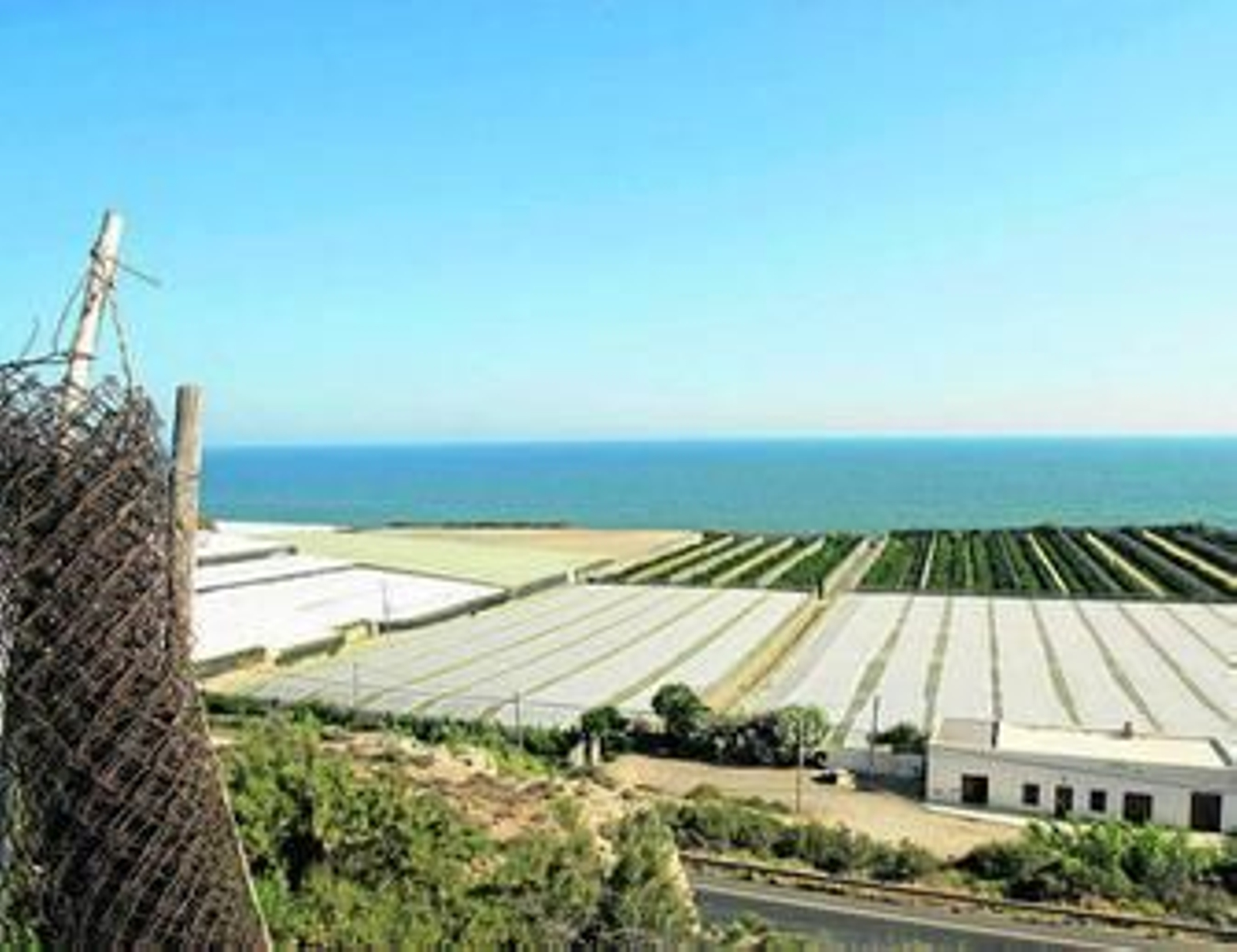 Los invernaderos almerienses generan buena parte de la producción hortícola europea.