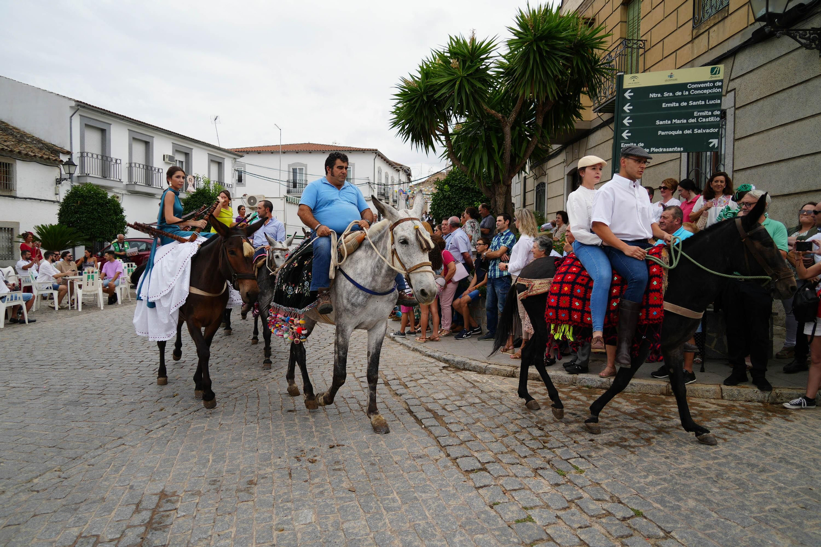 Las mejores imágenes de la Fiesta de los Piostros de Pedroche, la mayor concentración equina de Andalucía