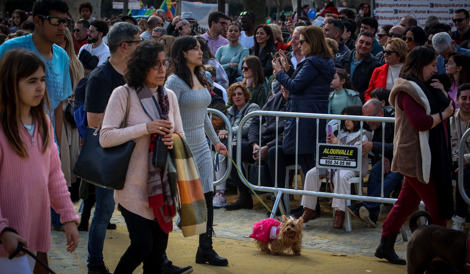 Fiesta de san Antón 2024 en Jerez