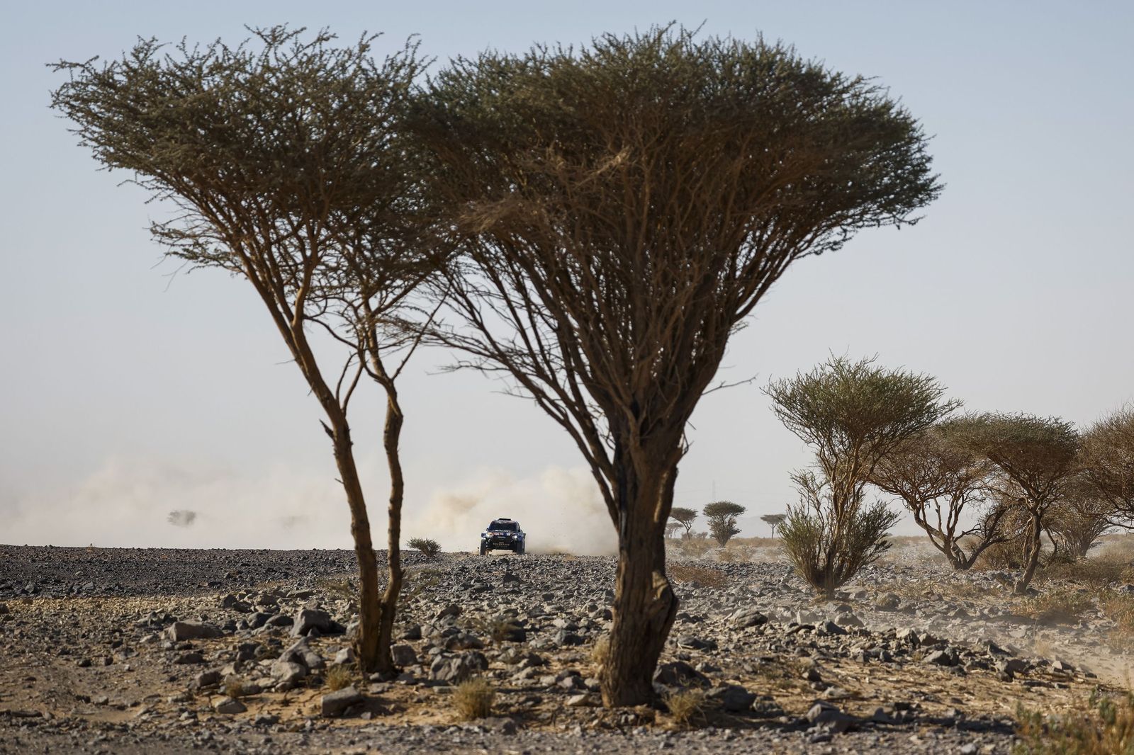Las mejores fotos del Rally Dakar | Novena etapa