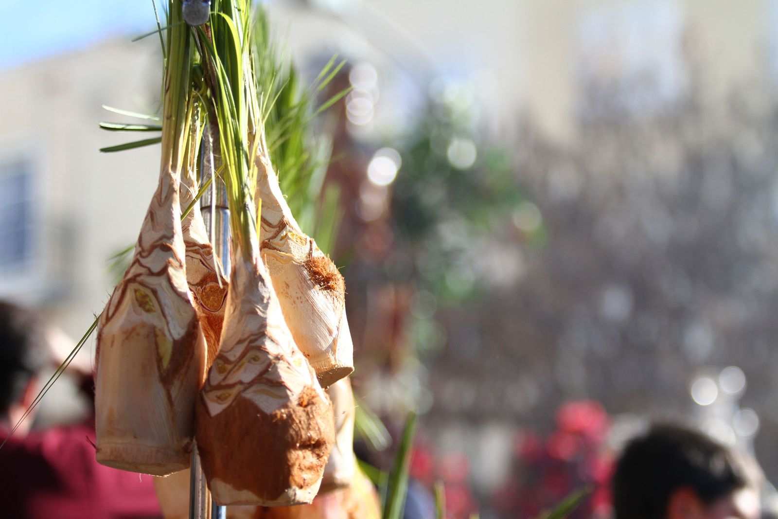 La procesión de San Sebastian en Imágenes.