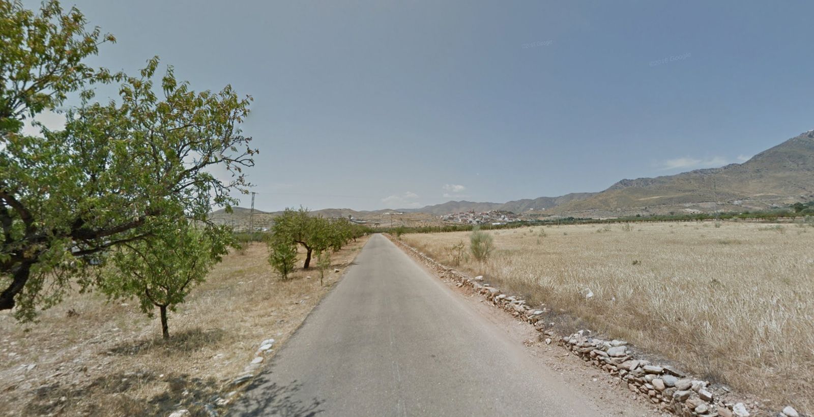 Carretera que une Uleila del Campo con El Pilar.