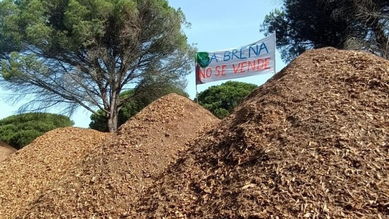 Aspecto de los monticulos de biomasa el pasado junio.