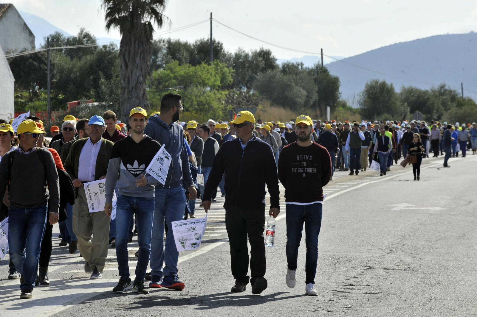 Imágenes de la tractorada reivindicativa en Villamartín