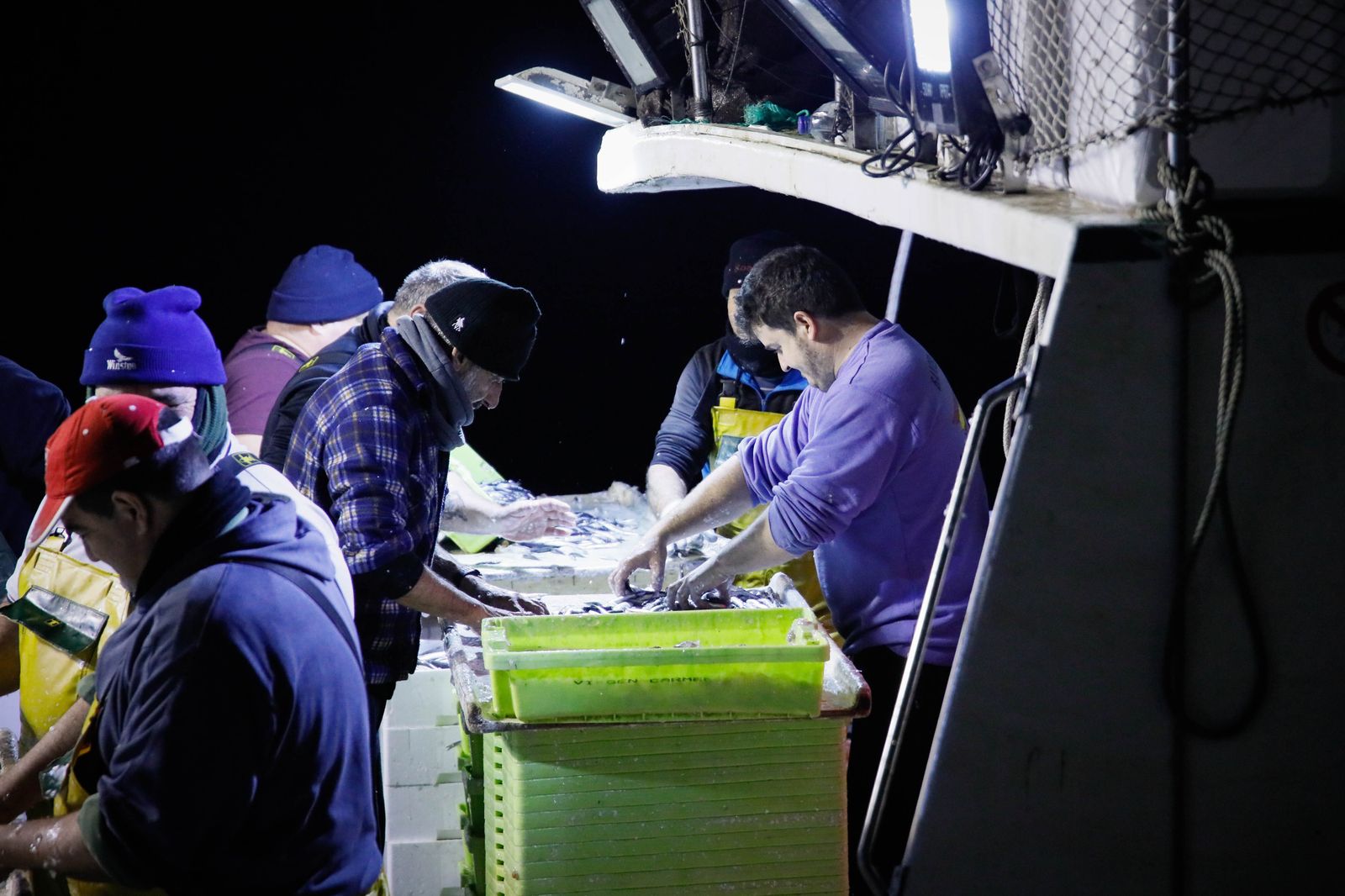 Te contamos en imágenes como ha sido la descarga de las traiñas en la lonja de Almería