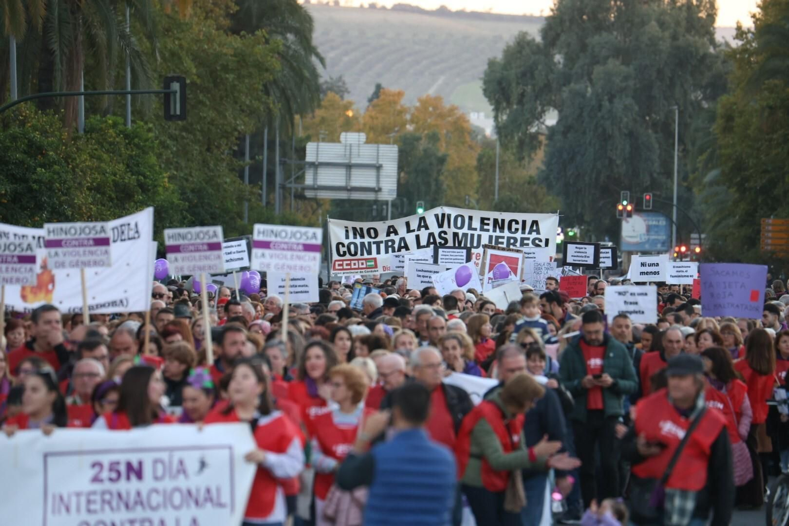 La manifestación del 25N en Córdoba, en imágenes