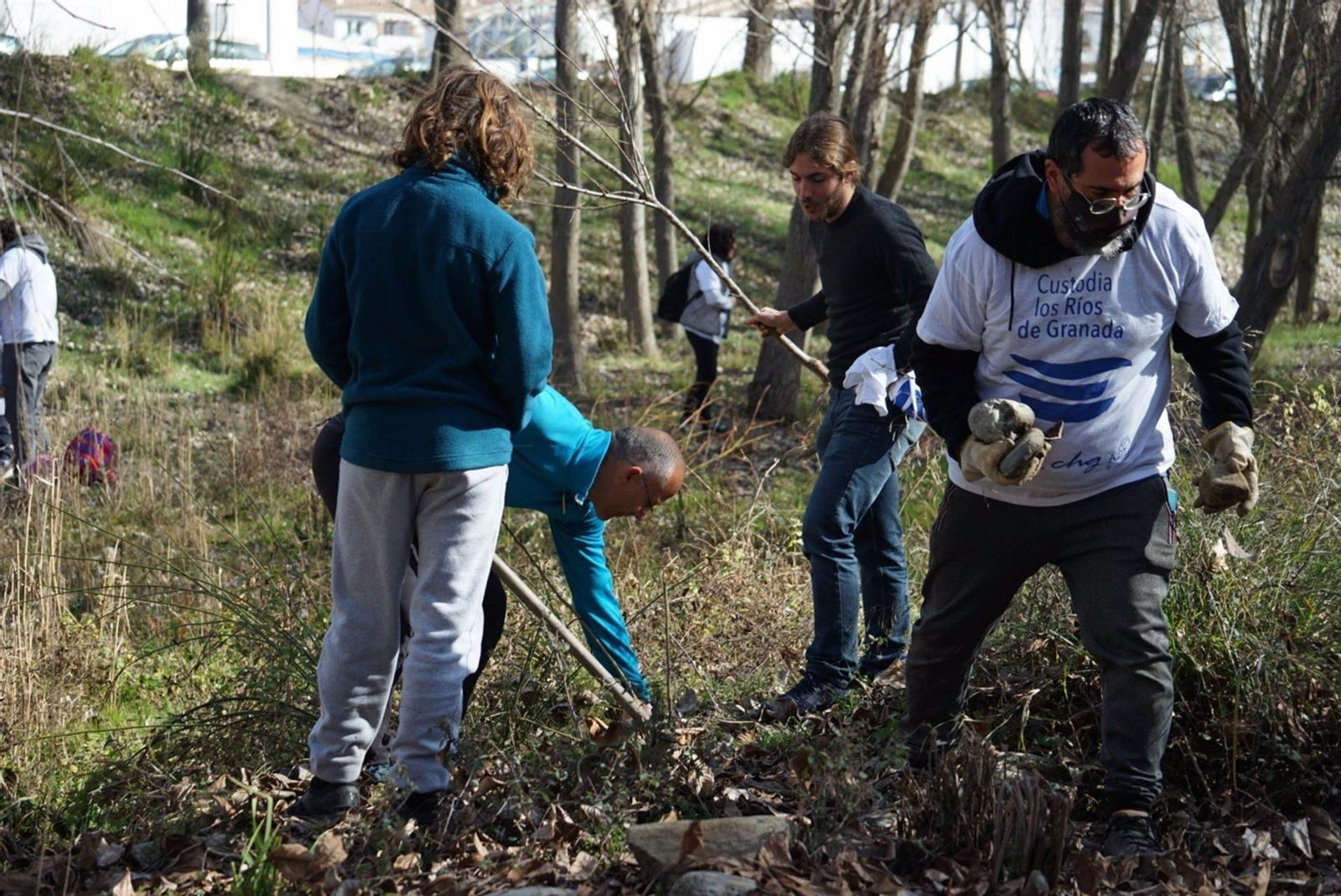 Voluntarios realizan las plantaciones en Cenes de la Vega