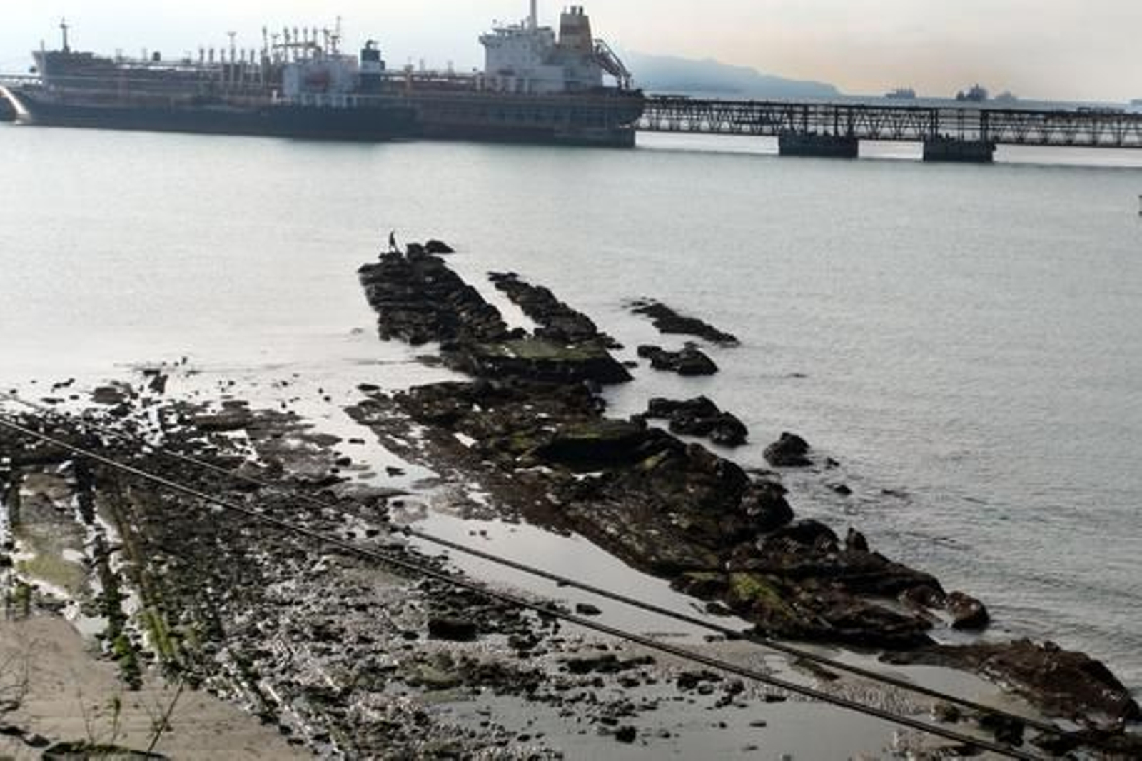 La marea histórica se vivió en las playas del Campo de Gibraltar con mucha espectación, sobre todo en la de Poniente de La Línea y El Rinconcillo de Algeciras./Fotos:Paco Guerrero/Shus Terán/J.M.Quiñones

Foto: Paco Guerrero/J.M.Q./Shus Teran/