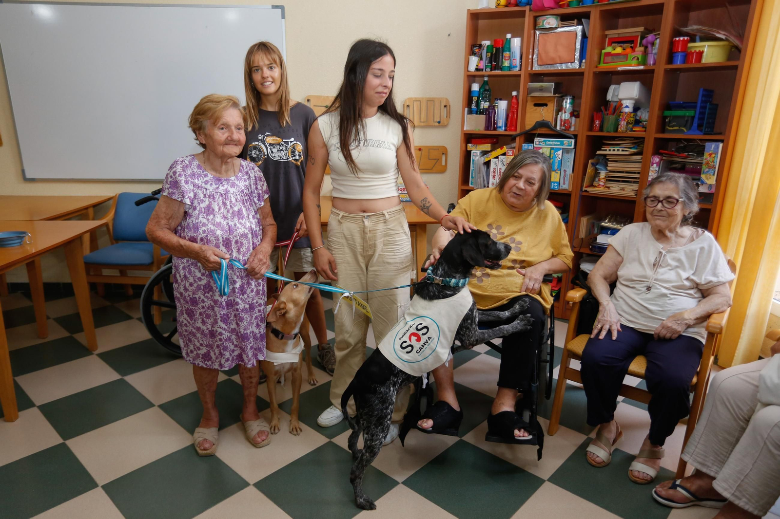 La visita de los perros de la protectora de Los Barrios a la residencia de mayores, en imágenes