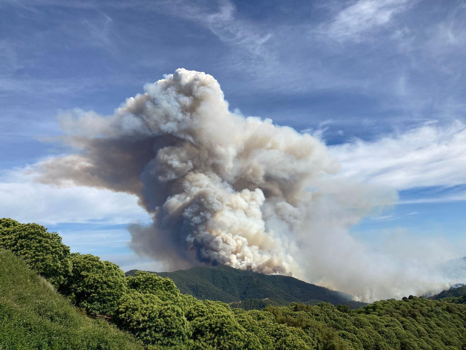 El incendio en Pujerra, en fotos