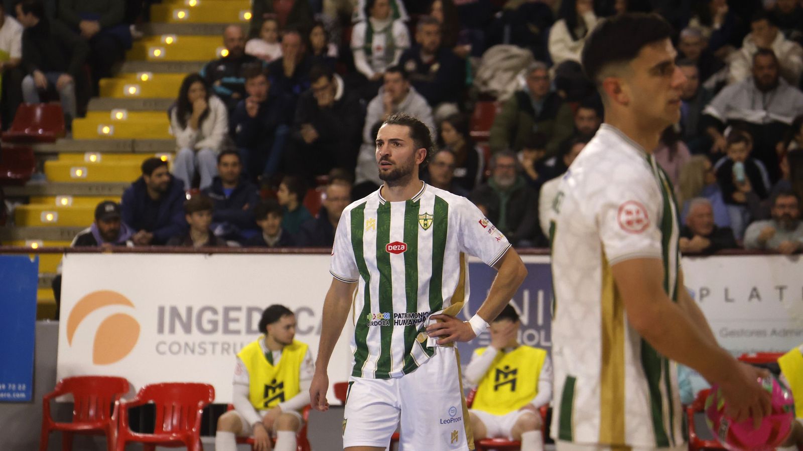 Zequi, contrariado tras uno de los goles encajados por el Córdoba Futsal ante el Alzira.