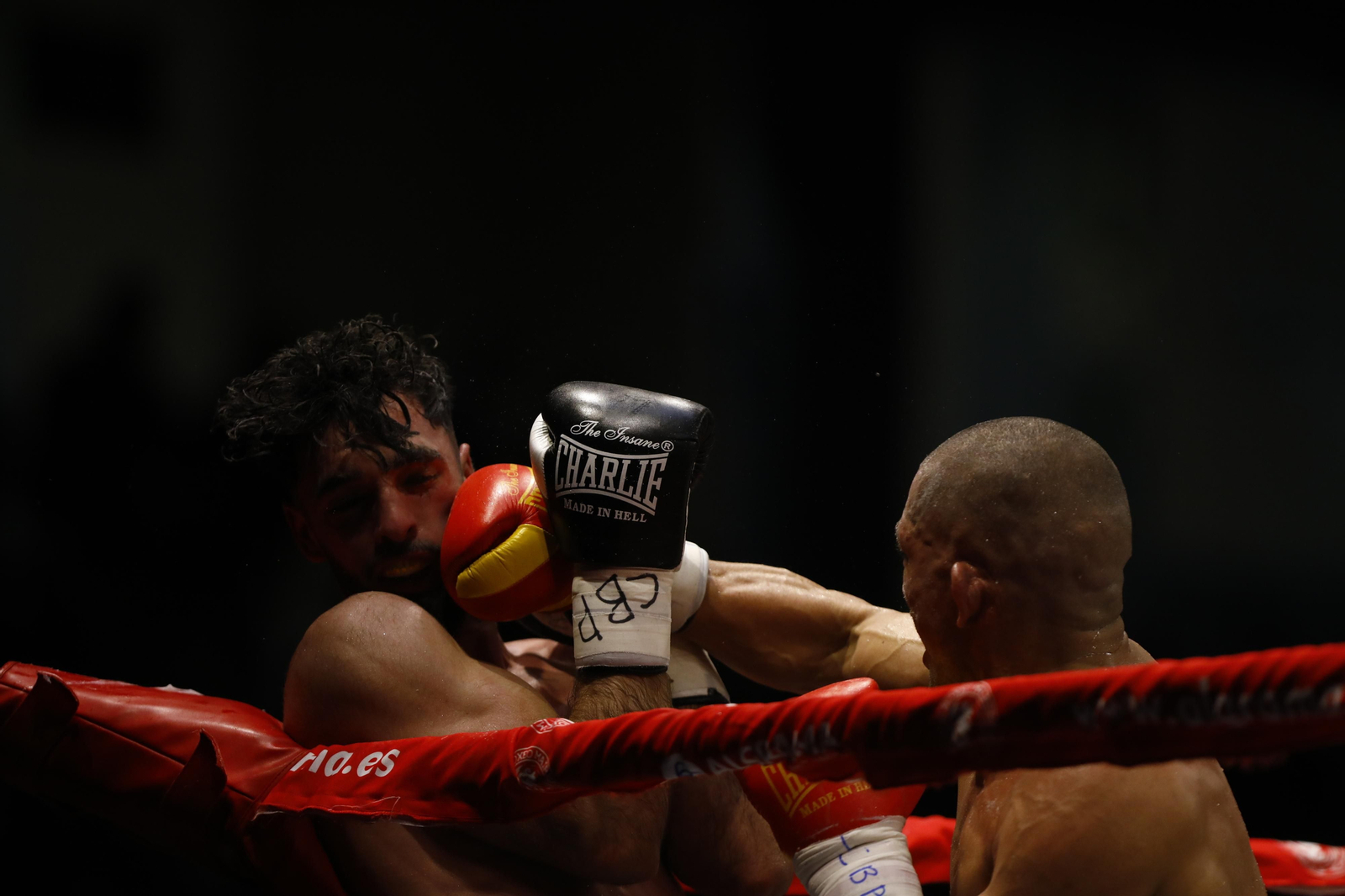 Las imágenes del combate entre José Luis Navarro Jr y Ronny Landaeta en Córdoba