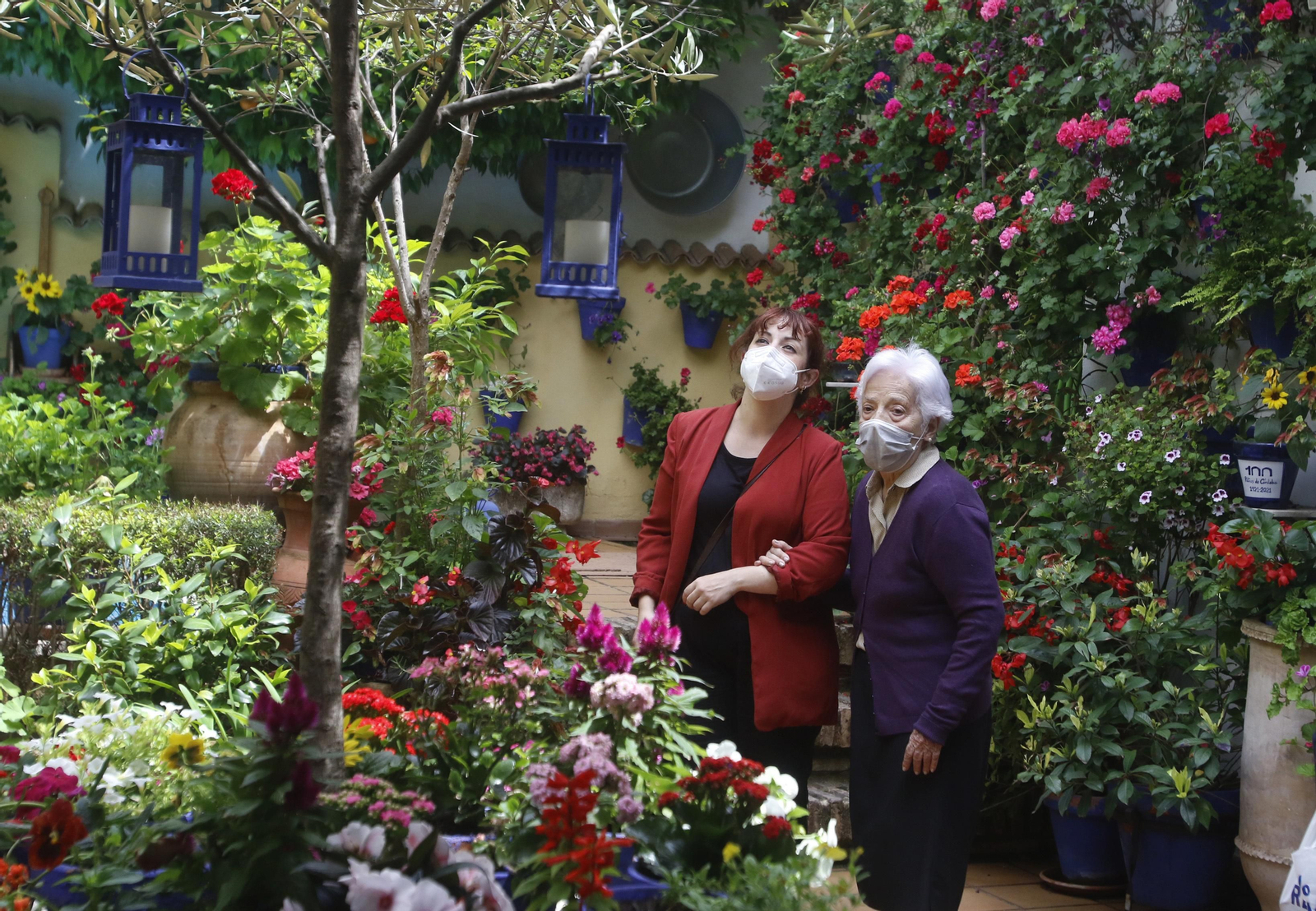 Ruta Regina - Realejo de los Patios de Córdoba, en imágenes