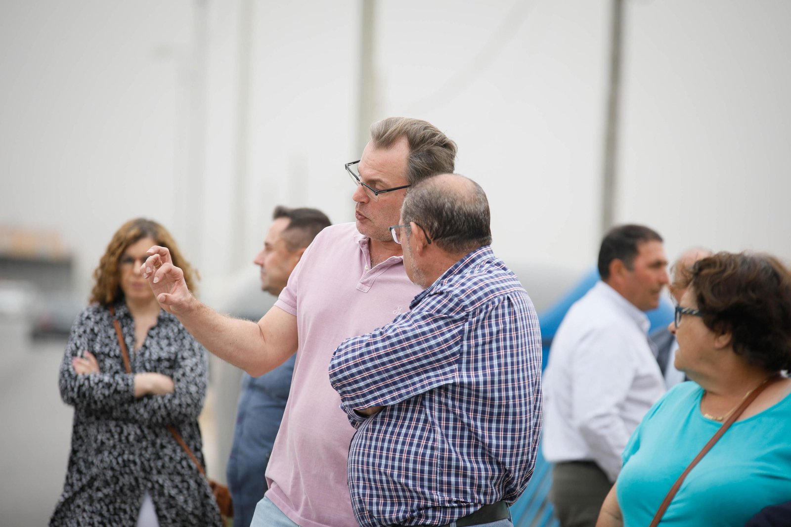 Galería de la Feria  de ganado en Tarambana
