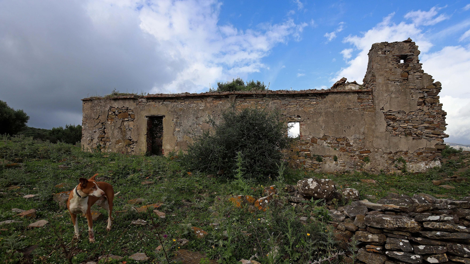 Fotos de la ruta de Fuente Urate en Algeciras