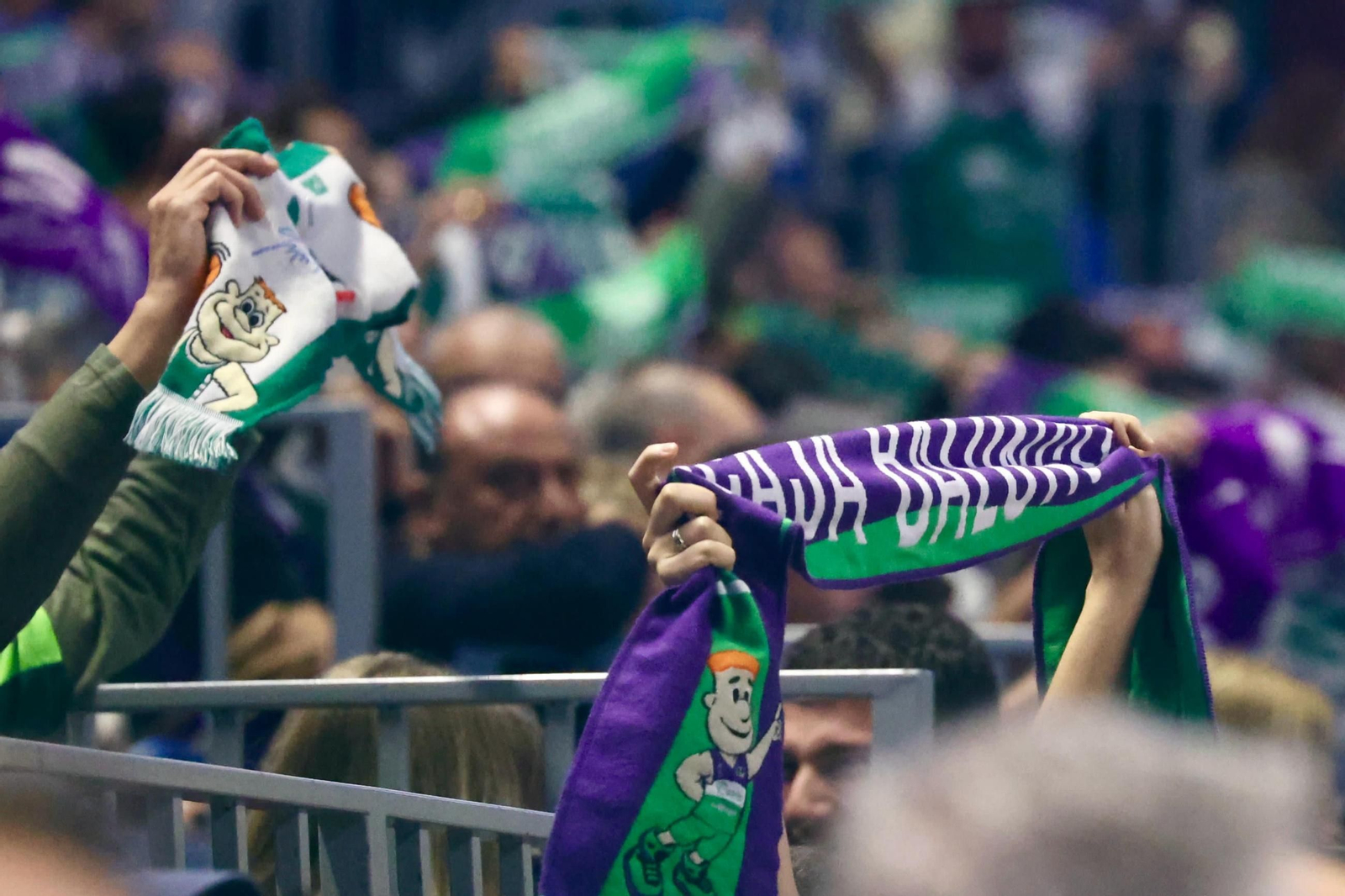 Búscate en las gradas del Carpena en el Unicaja-Covirán Granada