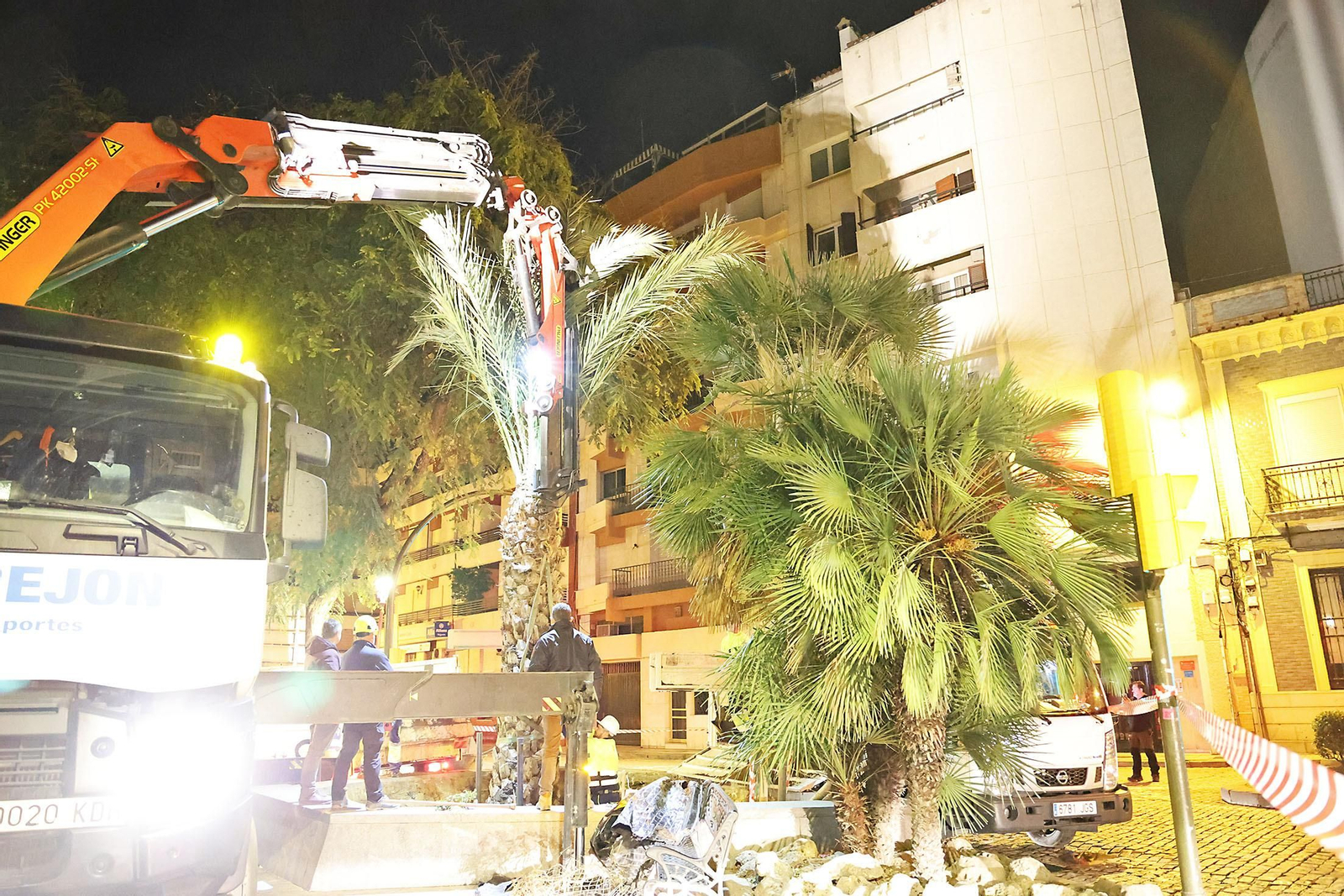 Las mejores imágenes de la plantación de la nueva palmera de Huelvaga