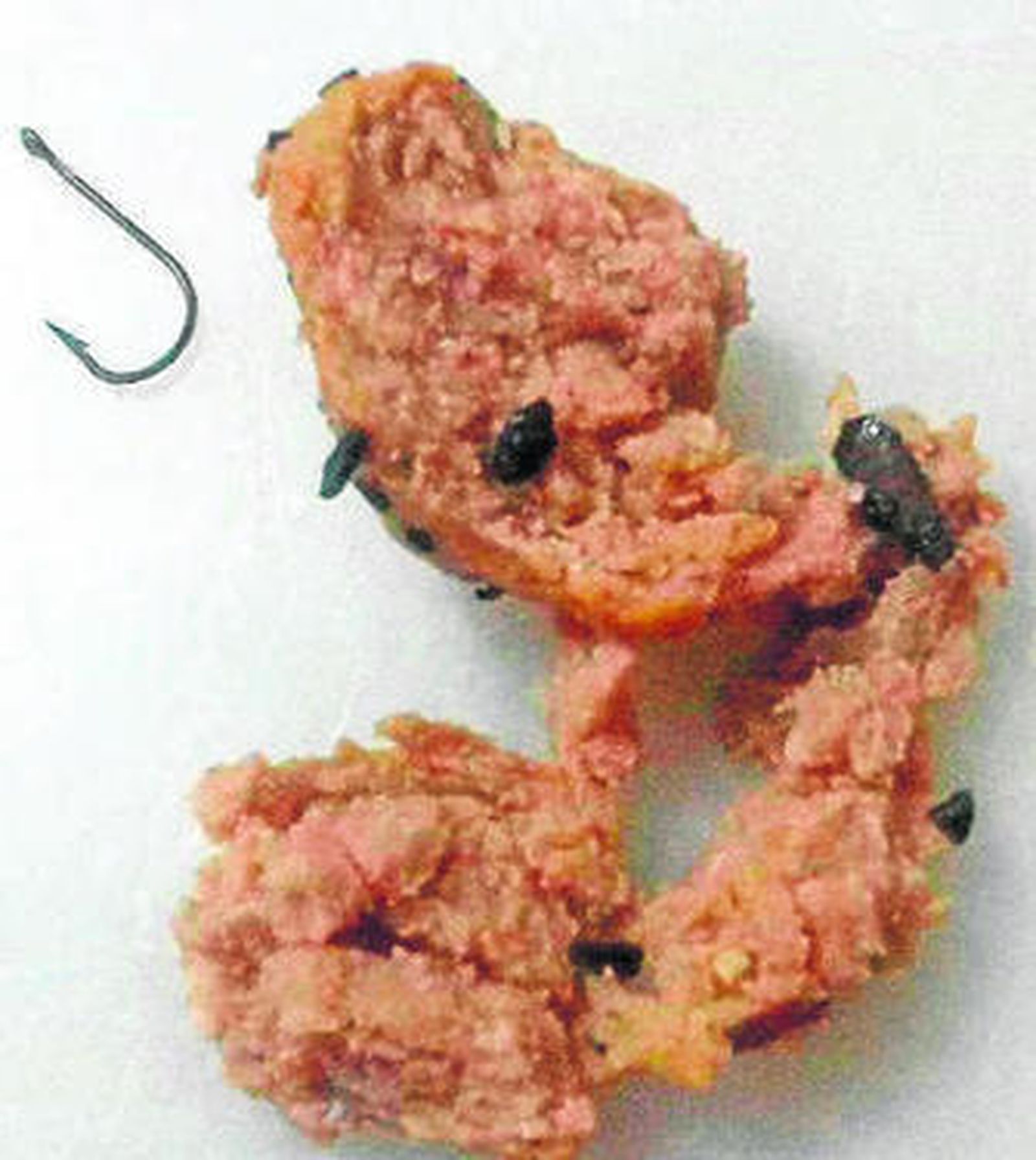 Denuncian el envenenamiento de perros y gatos domésticos en zonas públicas