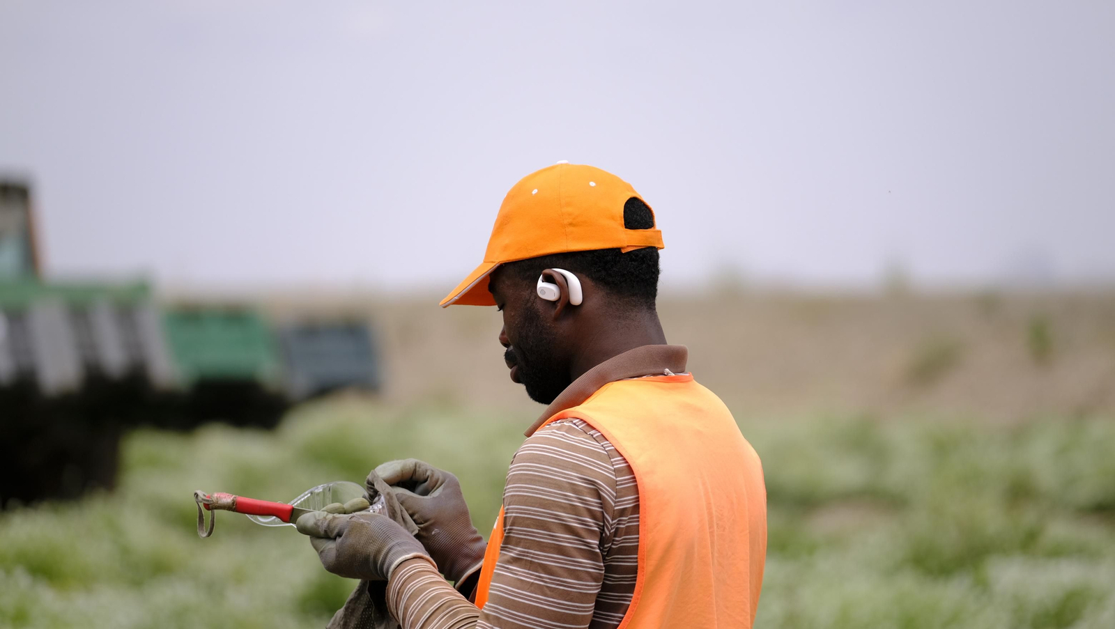 La sandía y el melón de Huércal Overa, manjares en imágenes