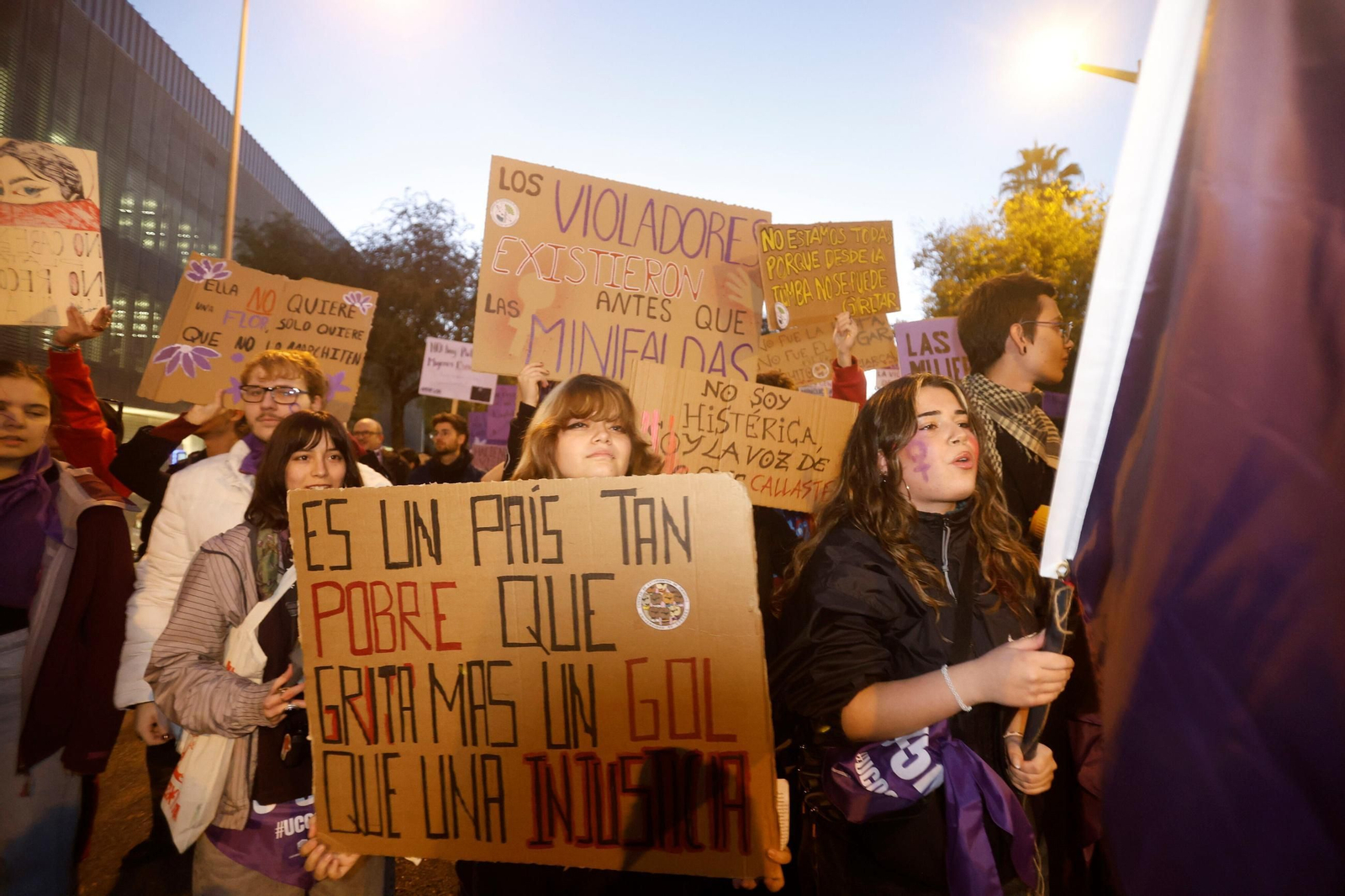 La manifestación del 25N en Córdoba