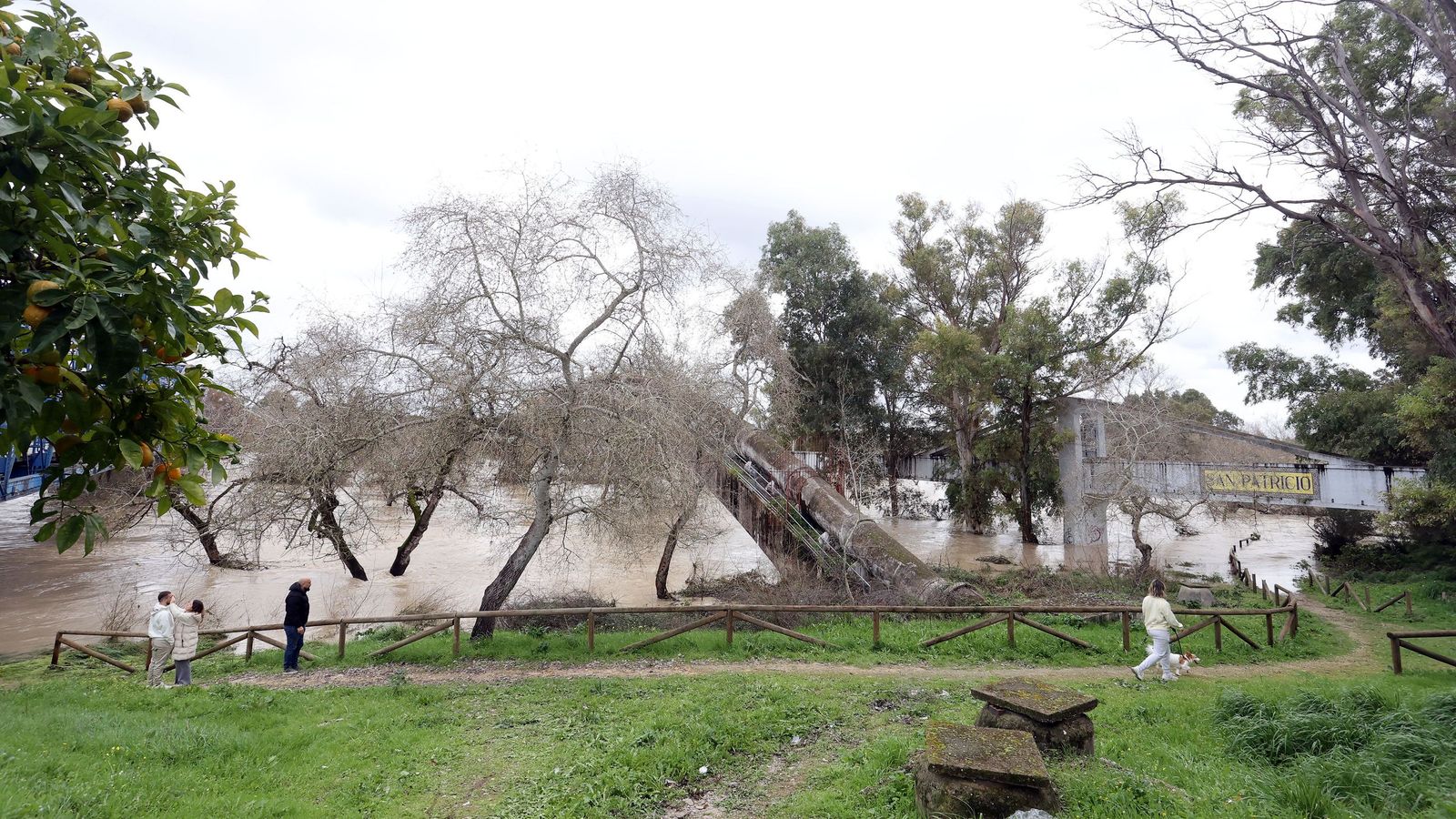 El Guadalete comienza a bajar su nivel poco a poco por la zona rural de Jerez