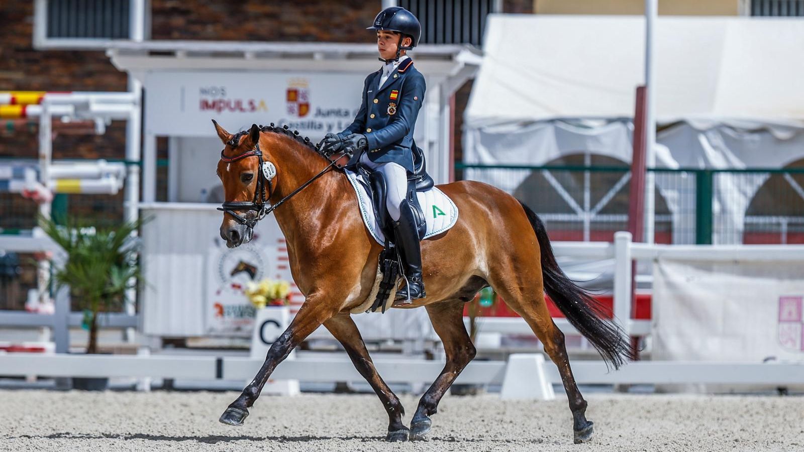 Curro Ramírez, a lomos de 'Koni'