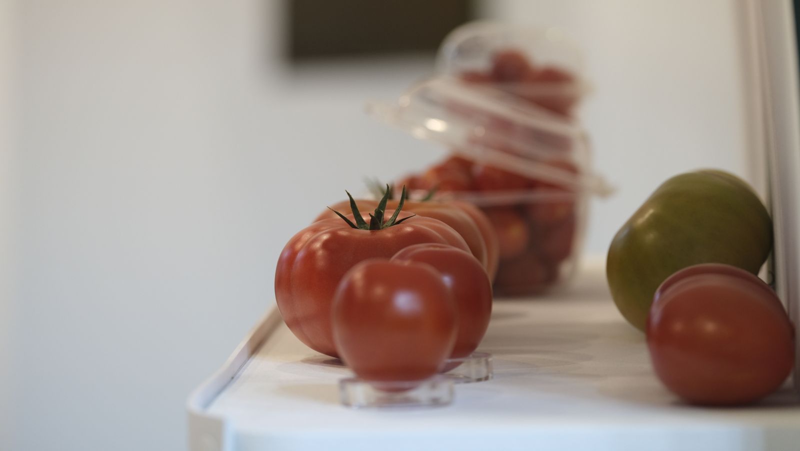 Imágenes del primer día de Expolevante Níjar.