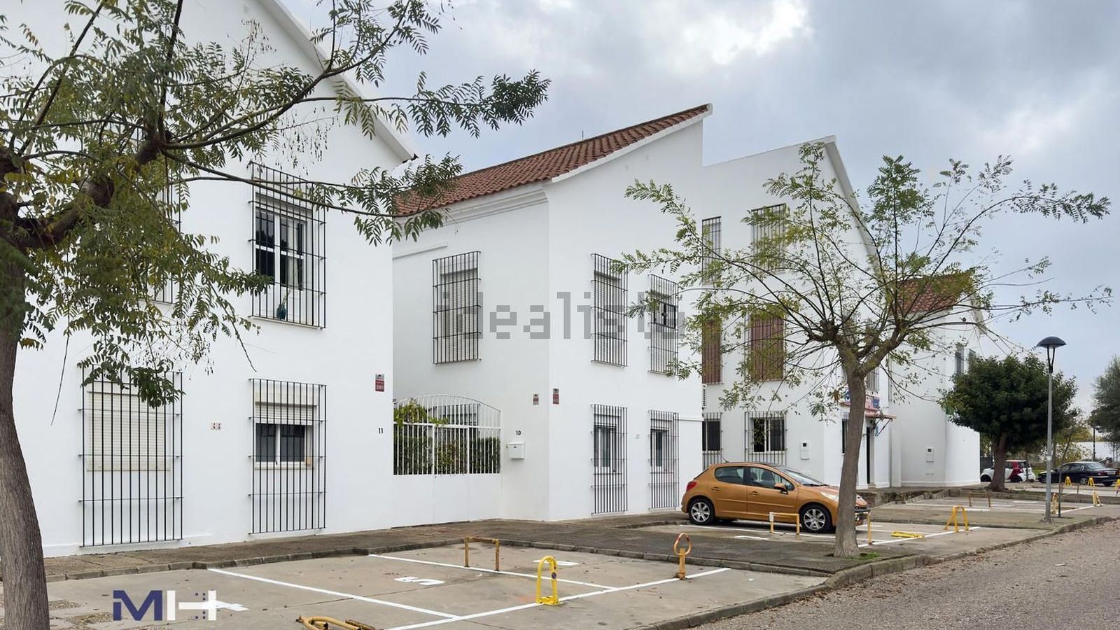 La Jara, en Sanlúcar.