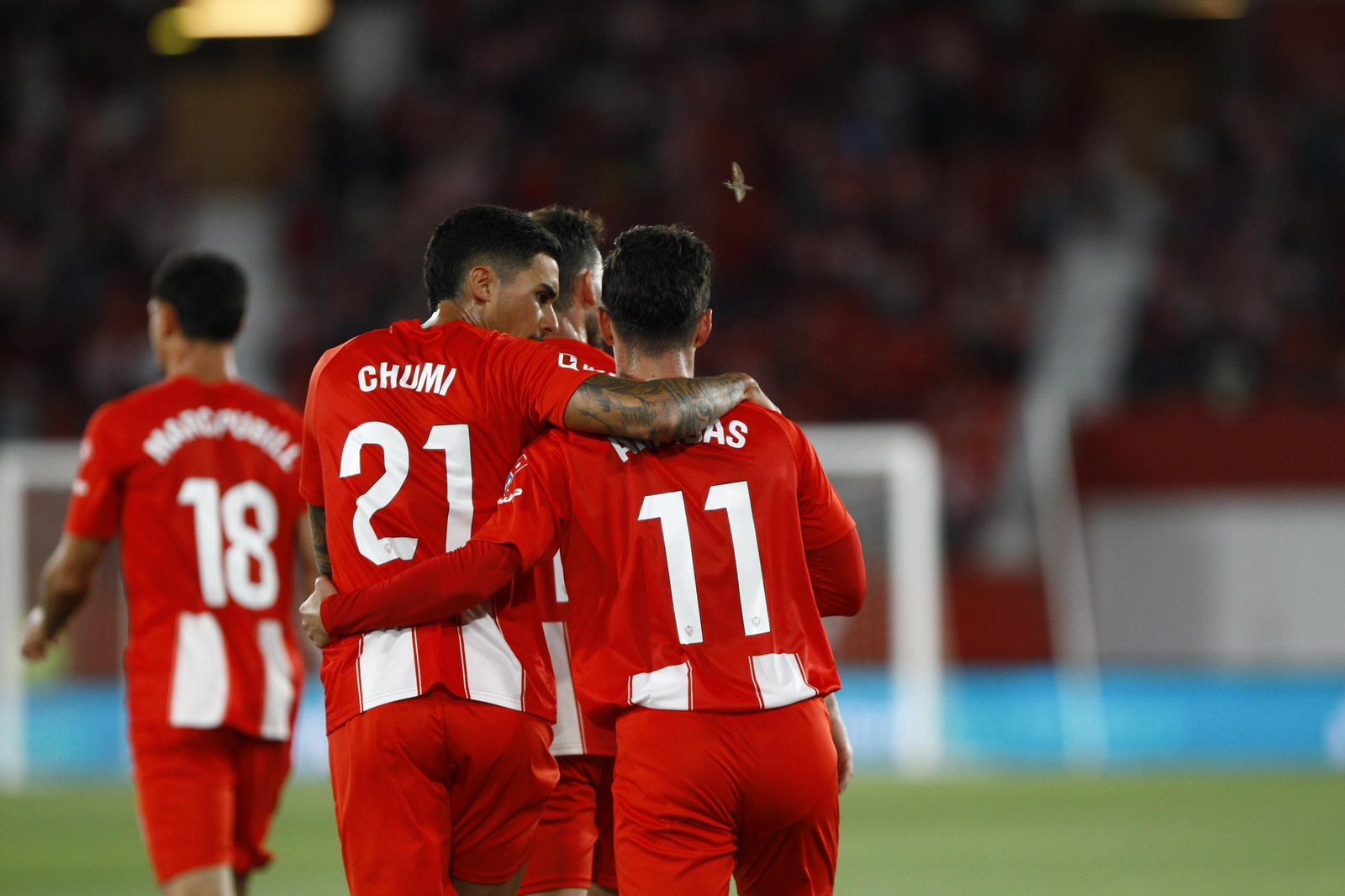 U.D. Almería-Racing de Santander, en imágenes