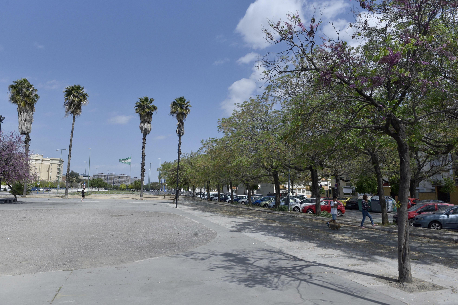 El mal estado de la Ronda del Tamarguillo, en imágenes