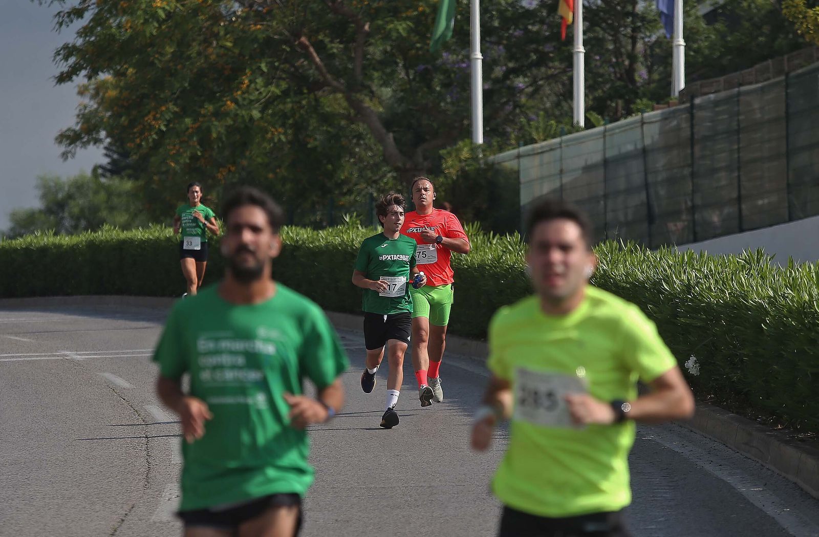 La II Carrera en marcha contra el cáncer celebrada en Algeciras, en imágenes.