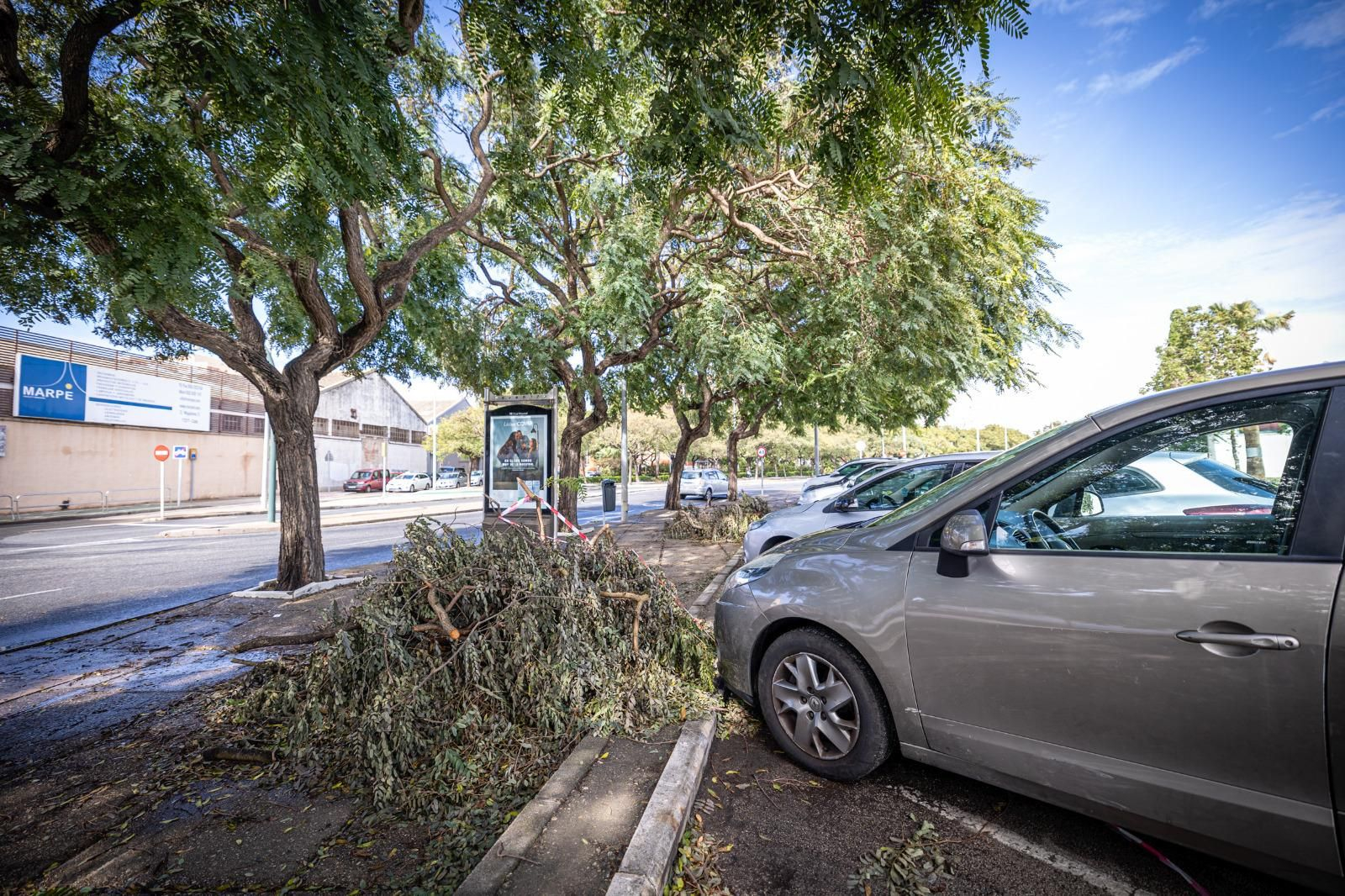 Los daños aún visibles del temporal Bernard en Cádiz