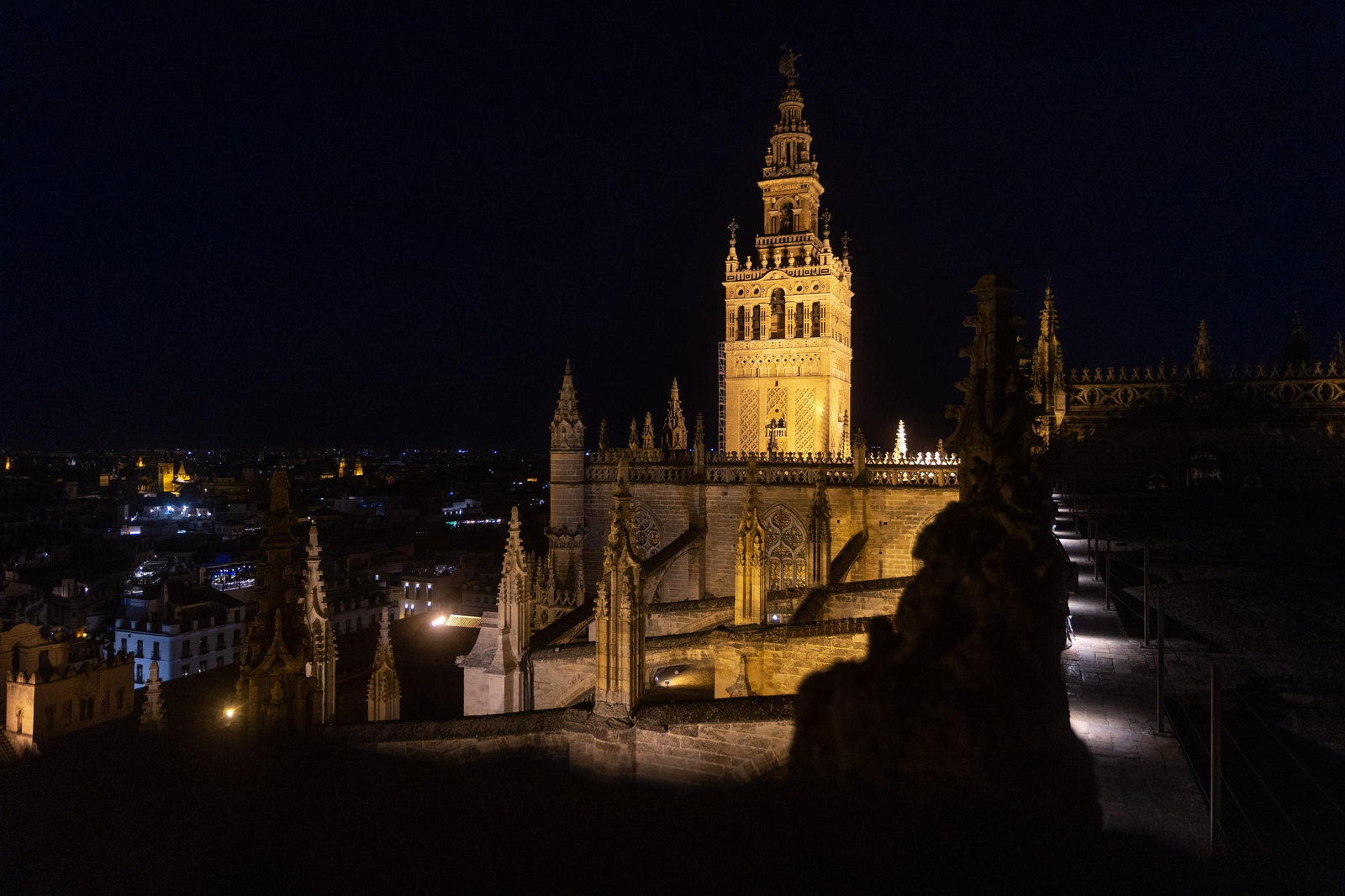 Las impresionantes imágenes de las cubiertas de la Catedral al anochecer