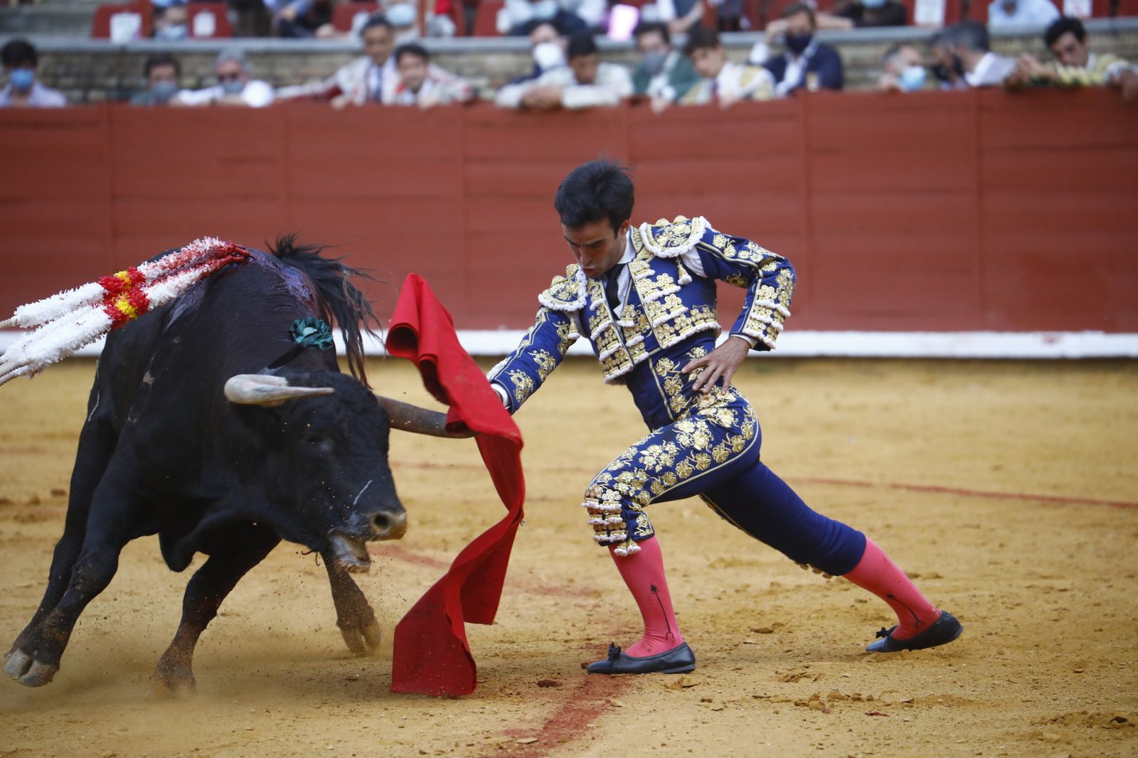 Las fotografías de la novillada con picadores de la Feria Taurina de Córdoba