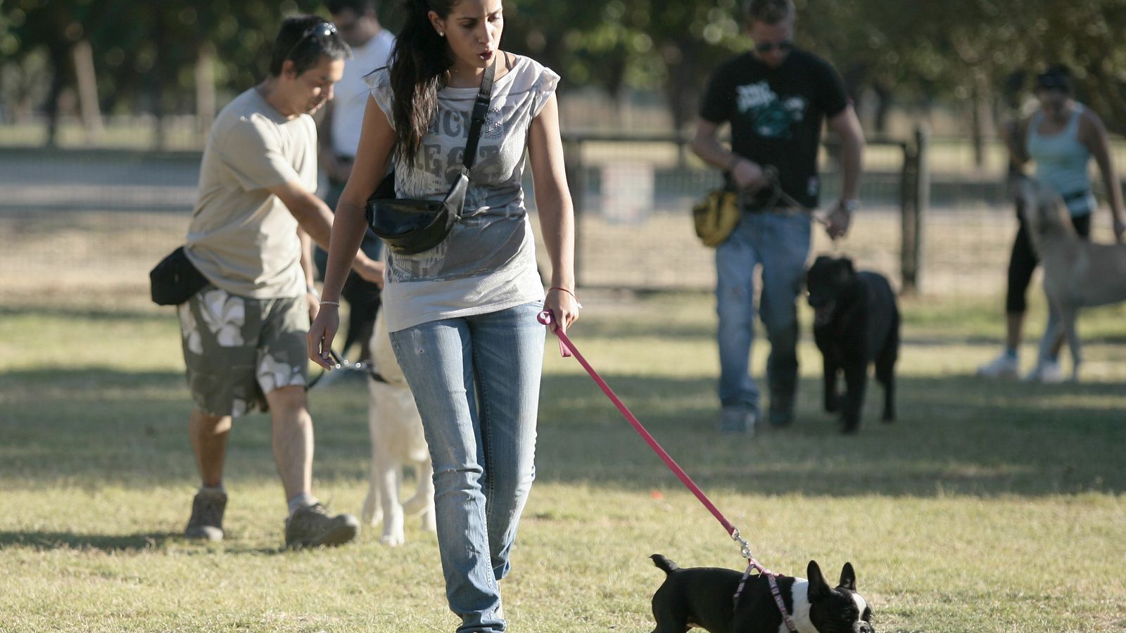 El Día del Perro se celebrará en la zona reservada para estos animales en el Parque del Alamillo.