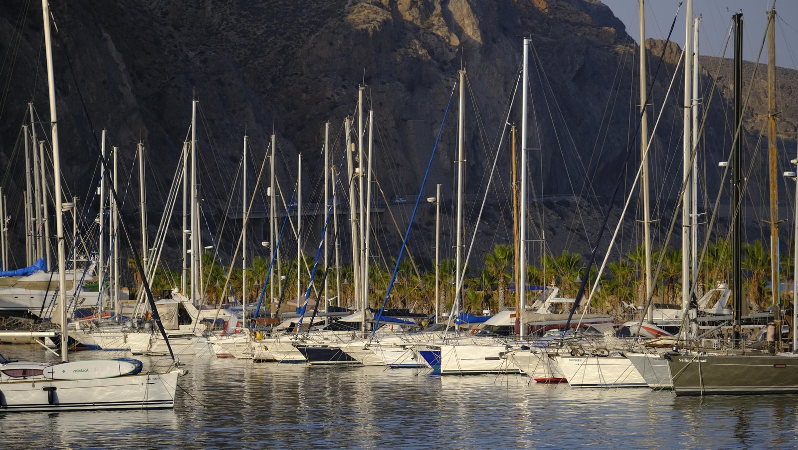 Procesión marítima de la Virgen del Carmen en Aguadulce (Roquetas de Mar), en imágenes