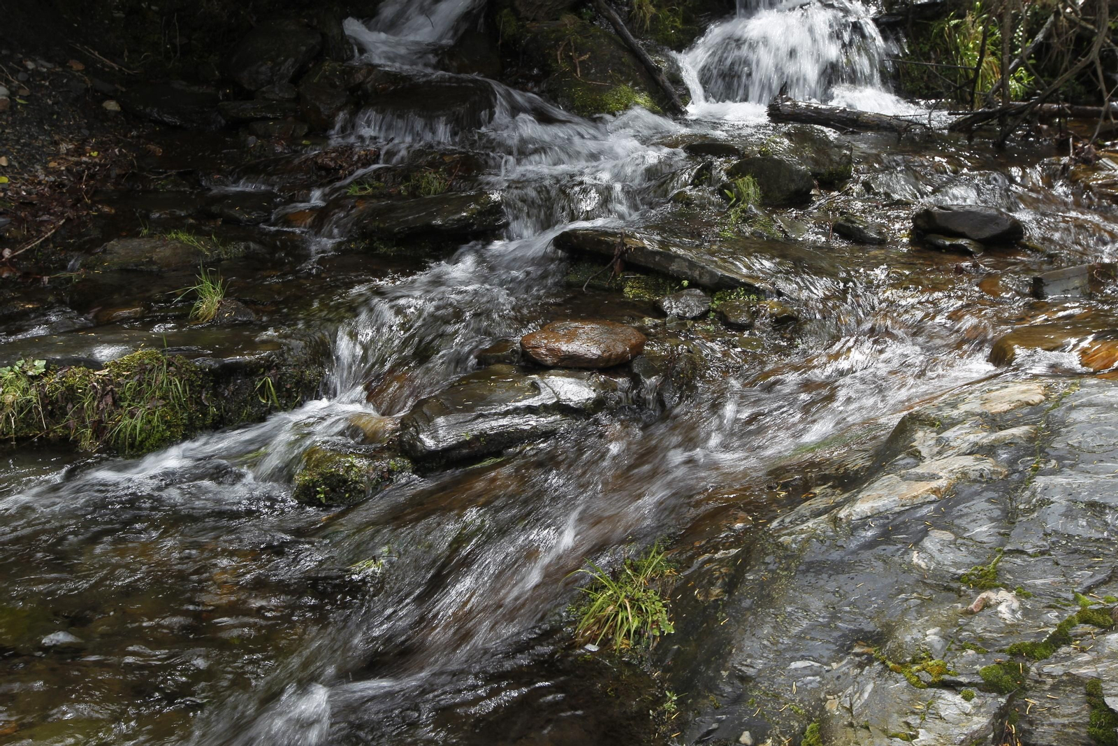 Naturaleza desconfinada. La Roza (Abrucena)