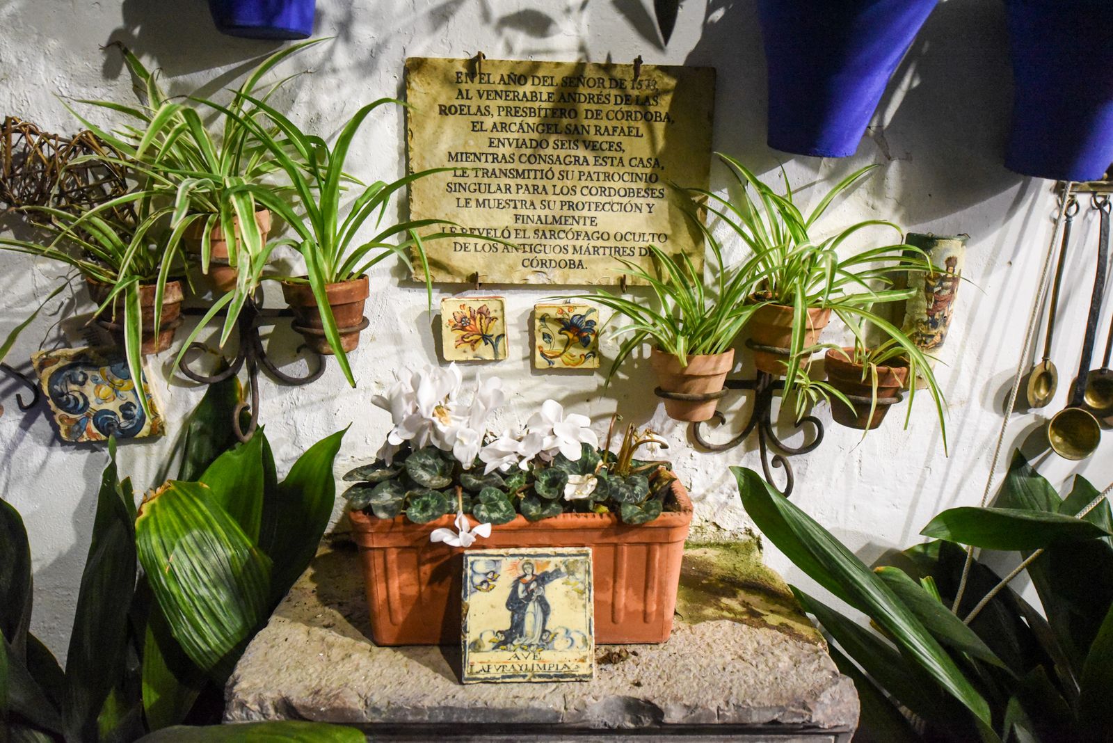 Las mejores fotos de la última jornada de la Navidad en los Patios