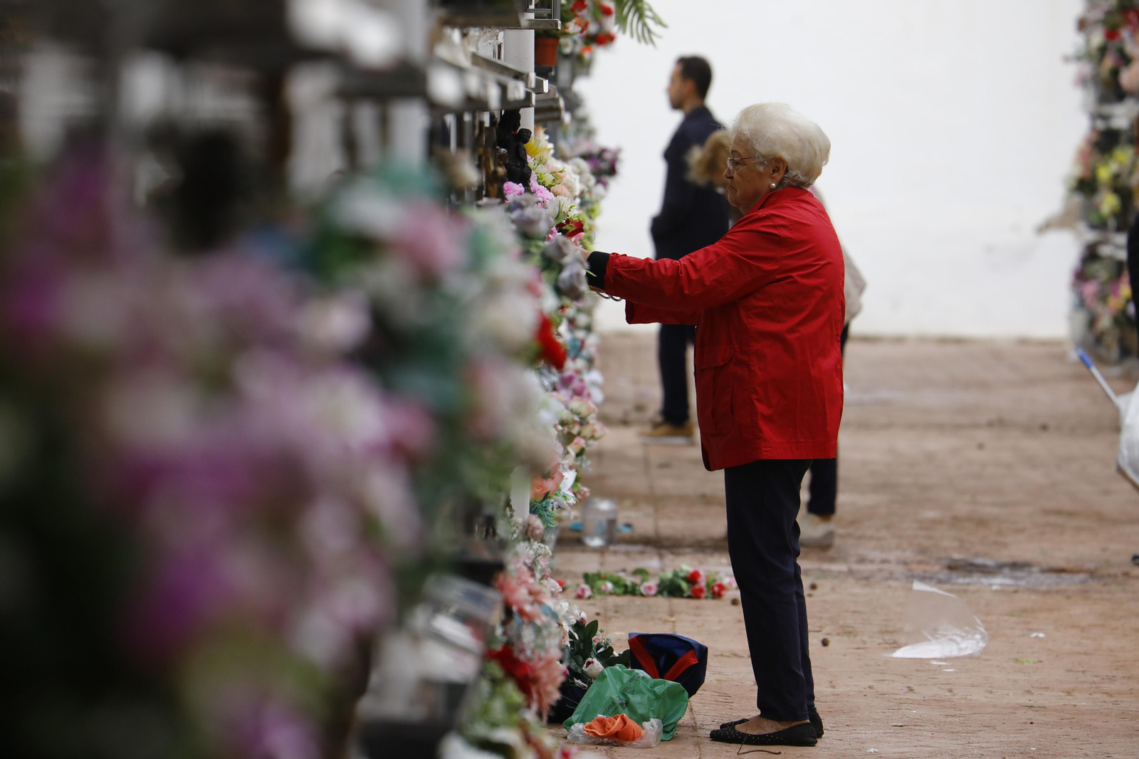 Las imágenes de los preparativos de los cementerios de Córdoba por el día de Todos los Santos