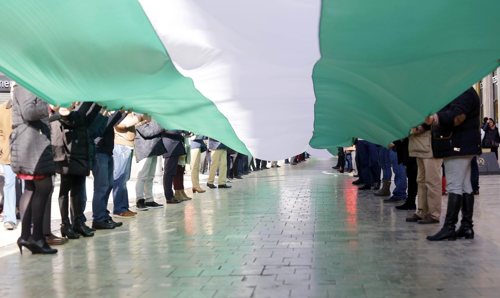 La bandera de Andalucía