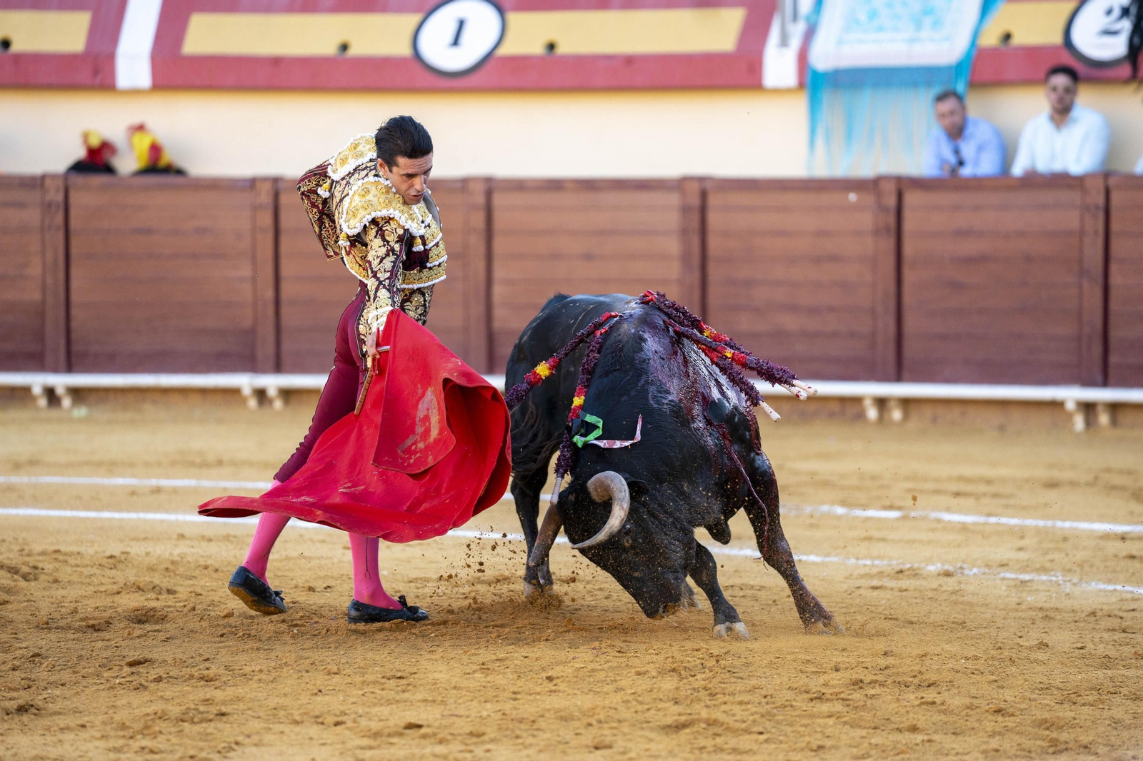Las imágenes de los toros en Vera