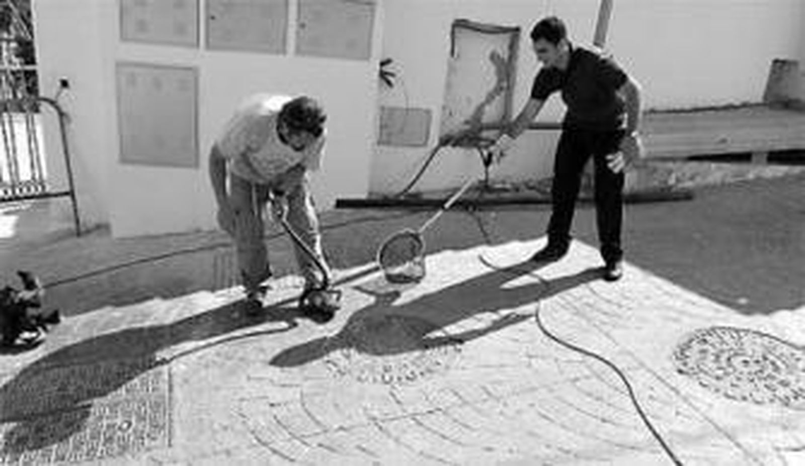 1. Dos miembros de la asociación recogen una culebra aparecida en una urbanización de viviendas de la capital malagueña. 2. El experto trata de sacar al reptil del cuadro eléctrico del edificio.