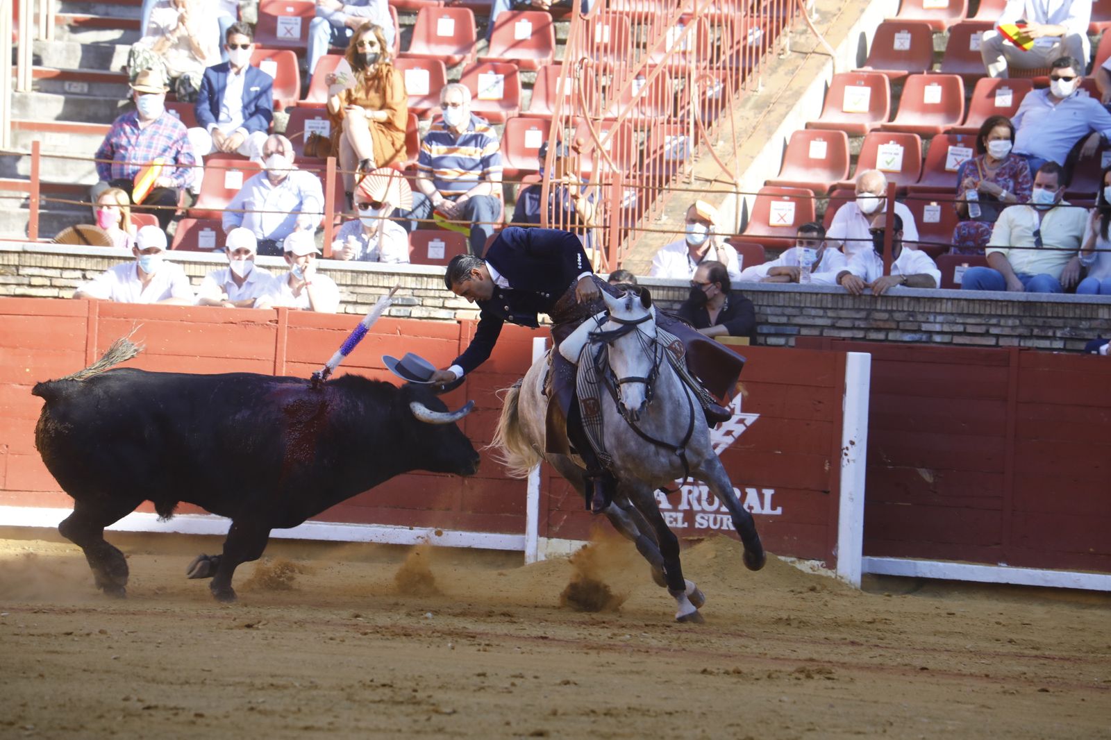 Las fotografías de la corrida mixta de la Feria Taurina de Córdoba con Roca Rey, Aguado y Ventura